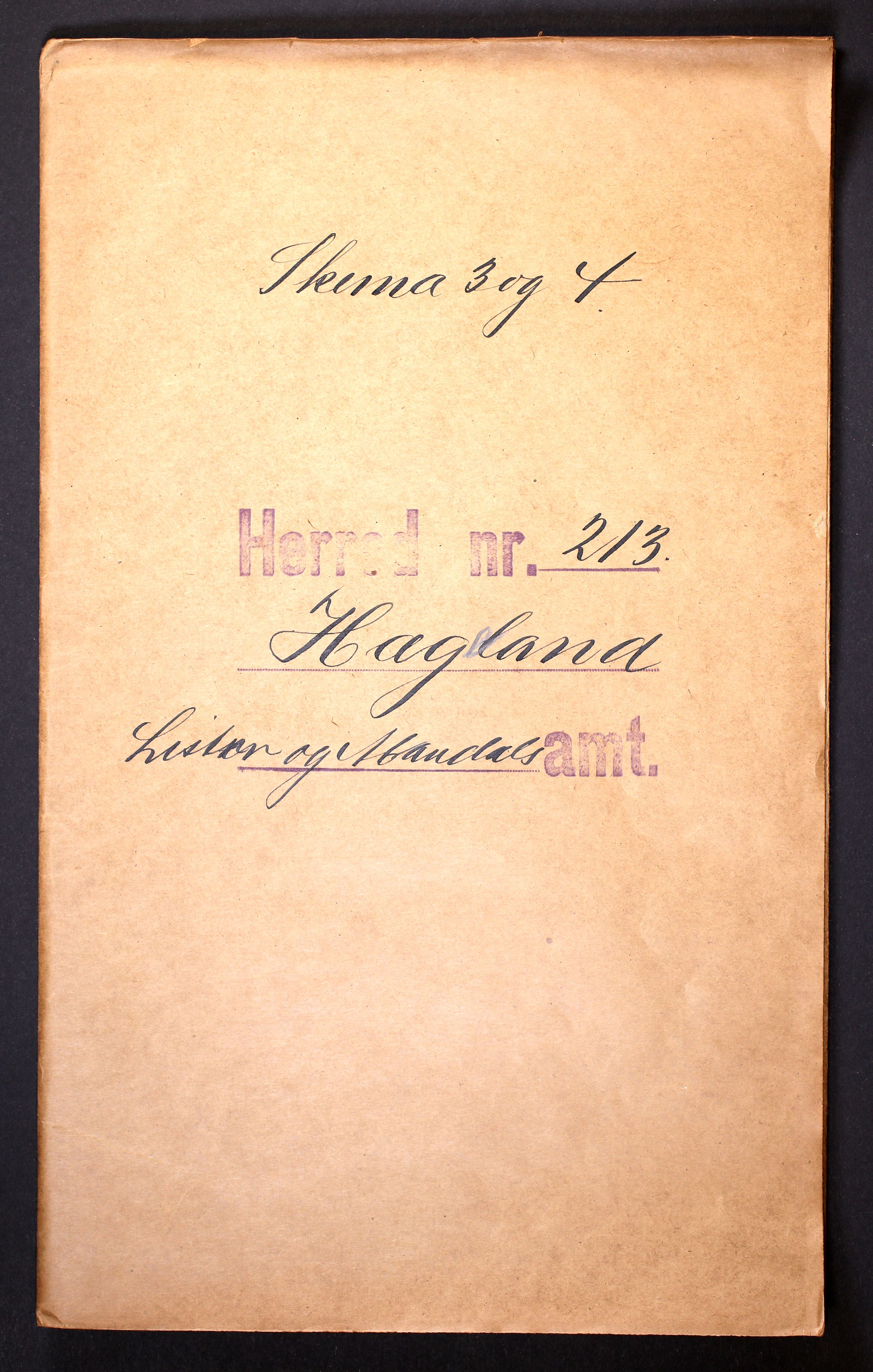 RA, 1910 census for Hægeland, 1910, p. 1