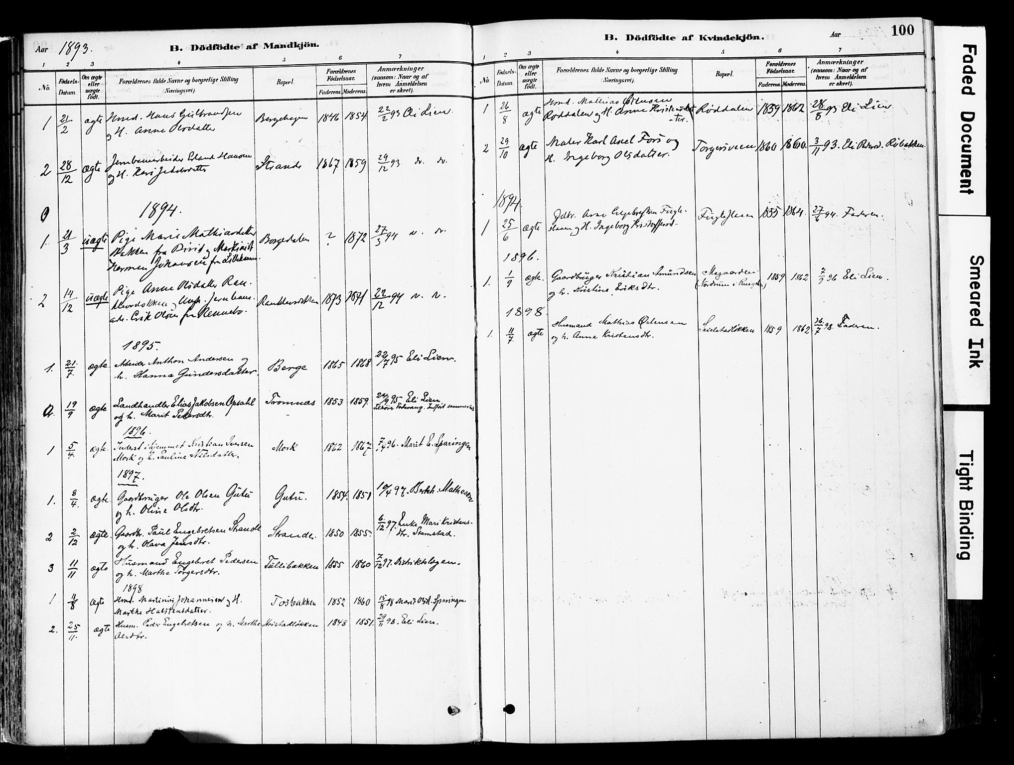 Ringebu prestekontor, AV/SAH-PREST-082/H/Ha/Haa/L0008: Parish register (official) no. 8, 1878-1898, p. 100
