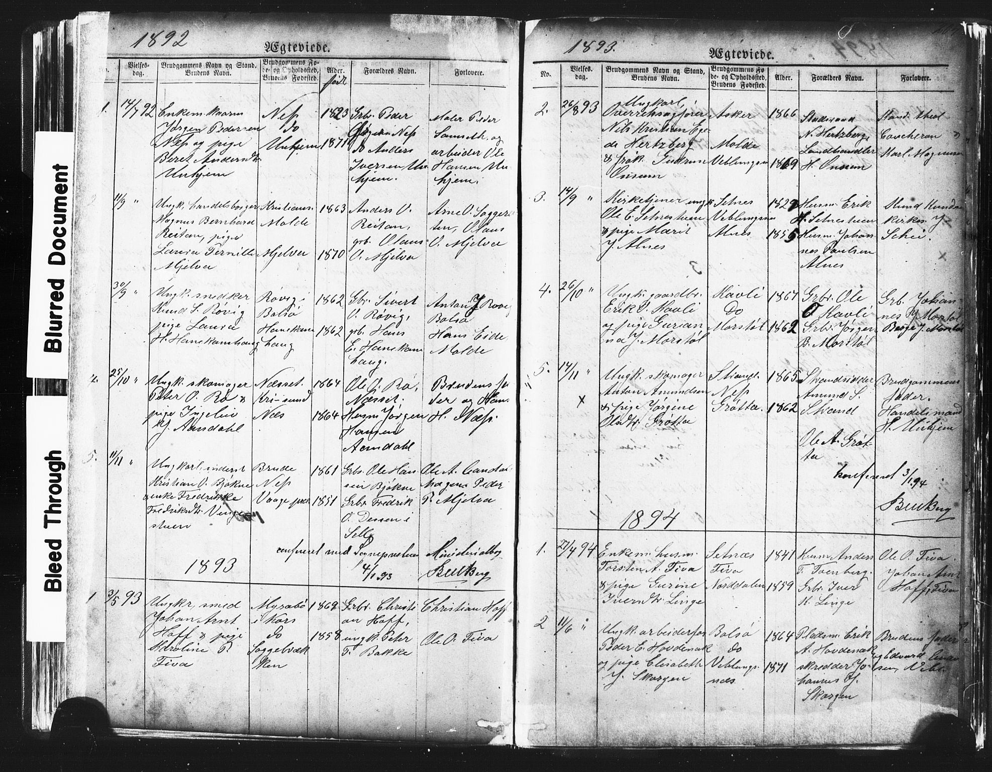 Ministerialprotokoller, klokkerbøker og fødselsregistre - Møre og Romsdal, AV/SAT-A-1454/544/L0580: Parish register (copy) no. 544C02, 1867-1909, p. 204