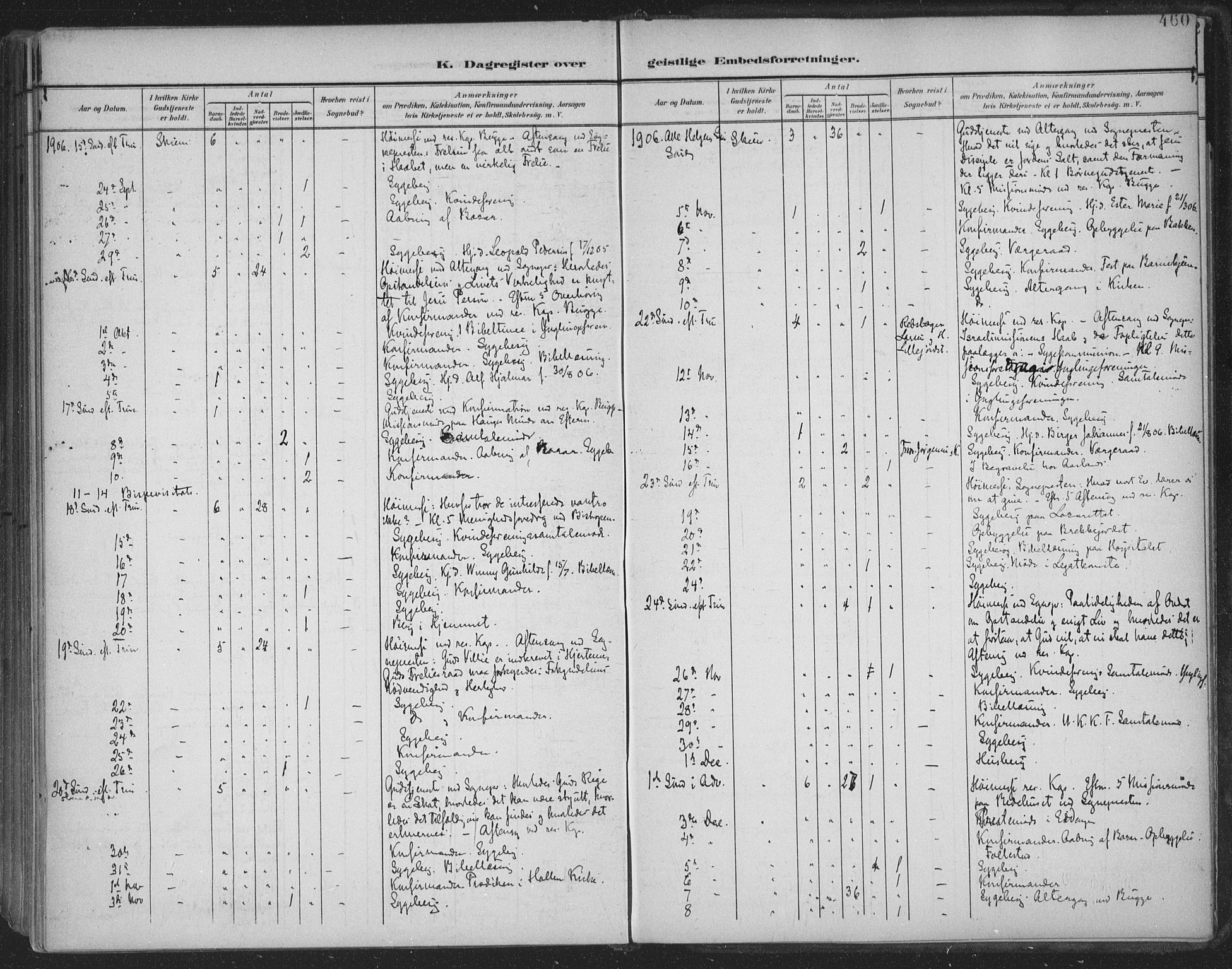 Skien kirkebøker, AV/SAKO-A-302/F/Fa/L0011: Parish register (official) no. 11, 1900-1907, p. 460