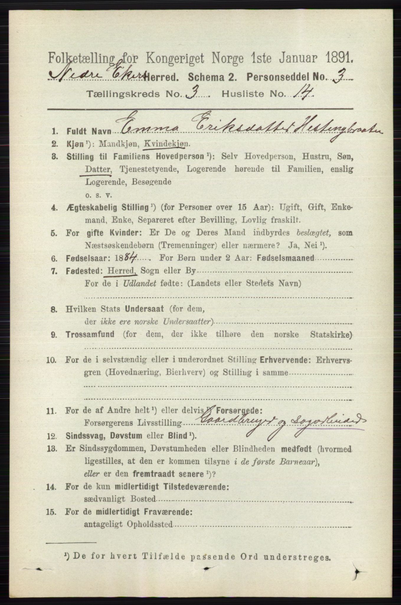 RA, 1891 census for 0625 Nedre Eiker, 1891, p. 1257