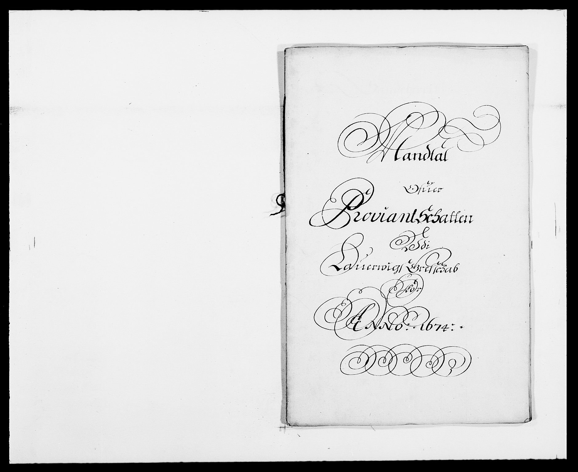 Rentekammeret inntil 1814, Reviderte regnskaper, Fogderegnskap, RA/EA-4092/R33/L1966: Fogderegnskap Larvik grevskap, 1672-1674, p. 248