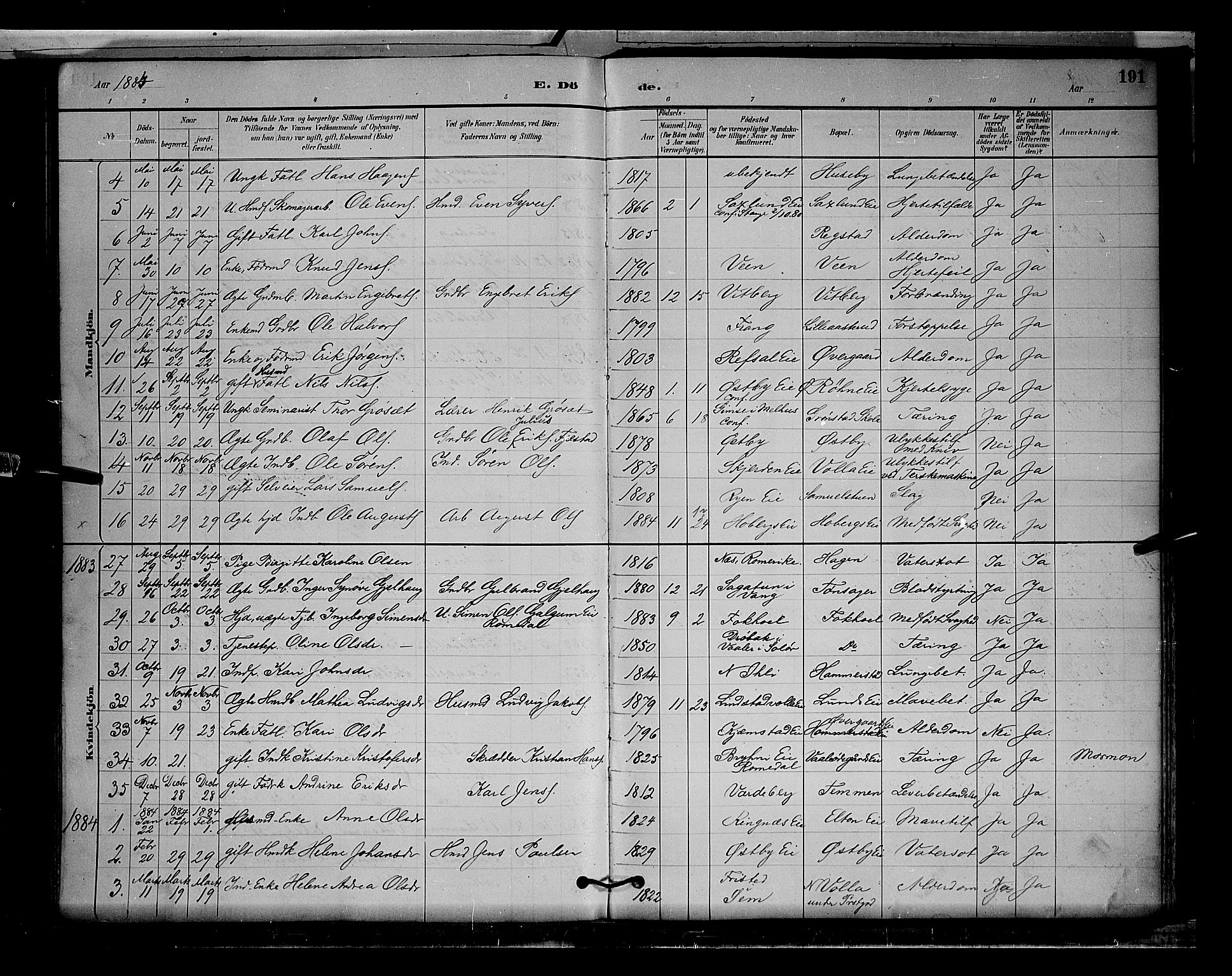 Stange prestekontor, SAH/PREST-002/L/L0009: Parish register (copy) no. 9, 1883-1899, p. 191