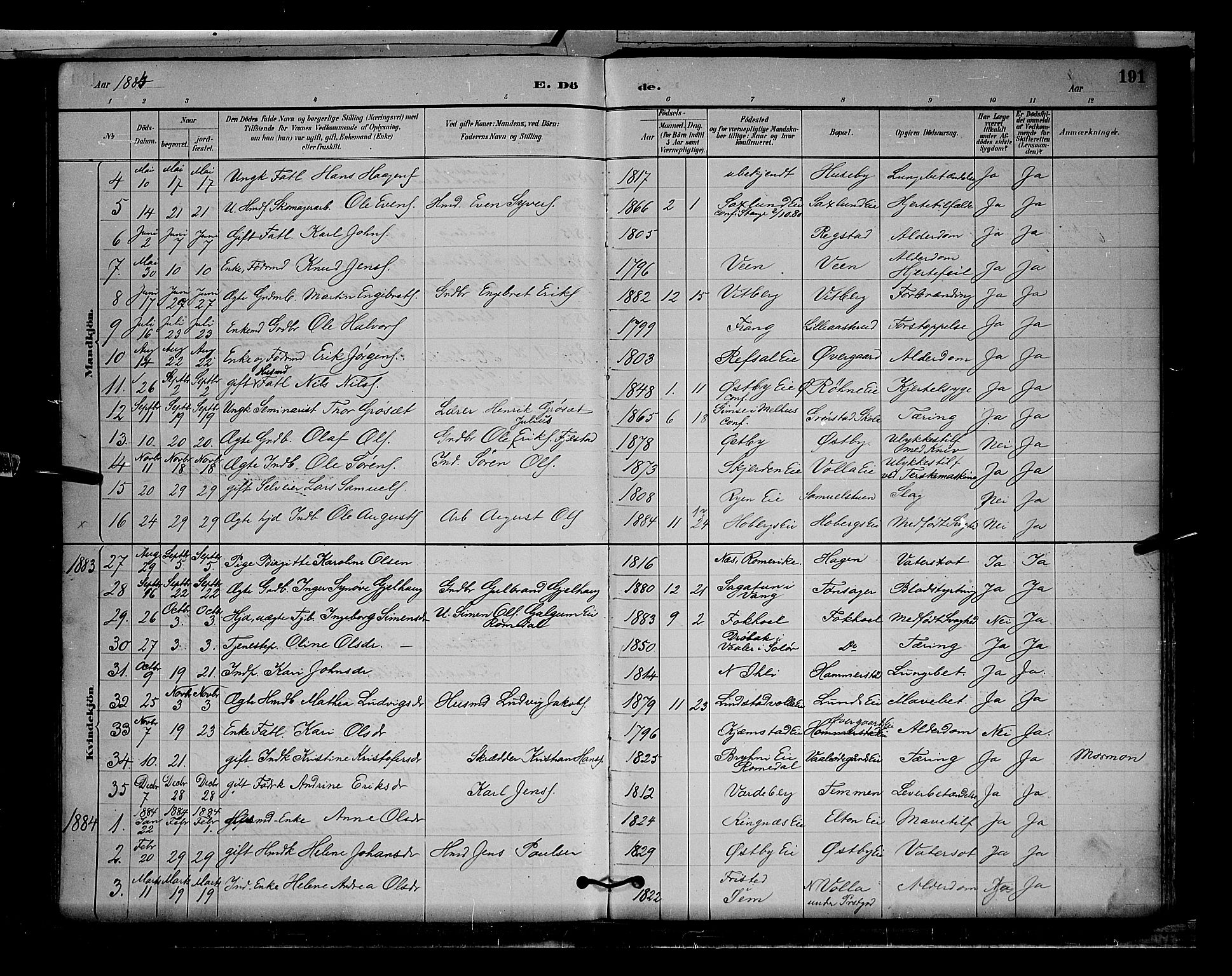 Stange prestekontor, AV/SAH-PREST-002/L/L0009: Parish register (copy) no. 9, 1883-1899, p. 191