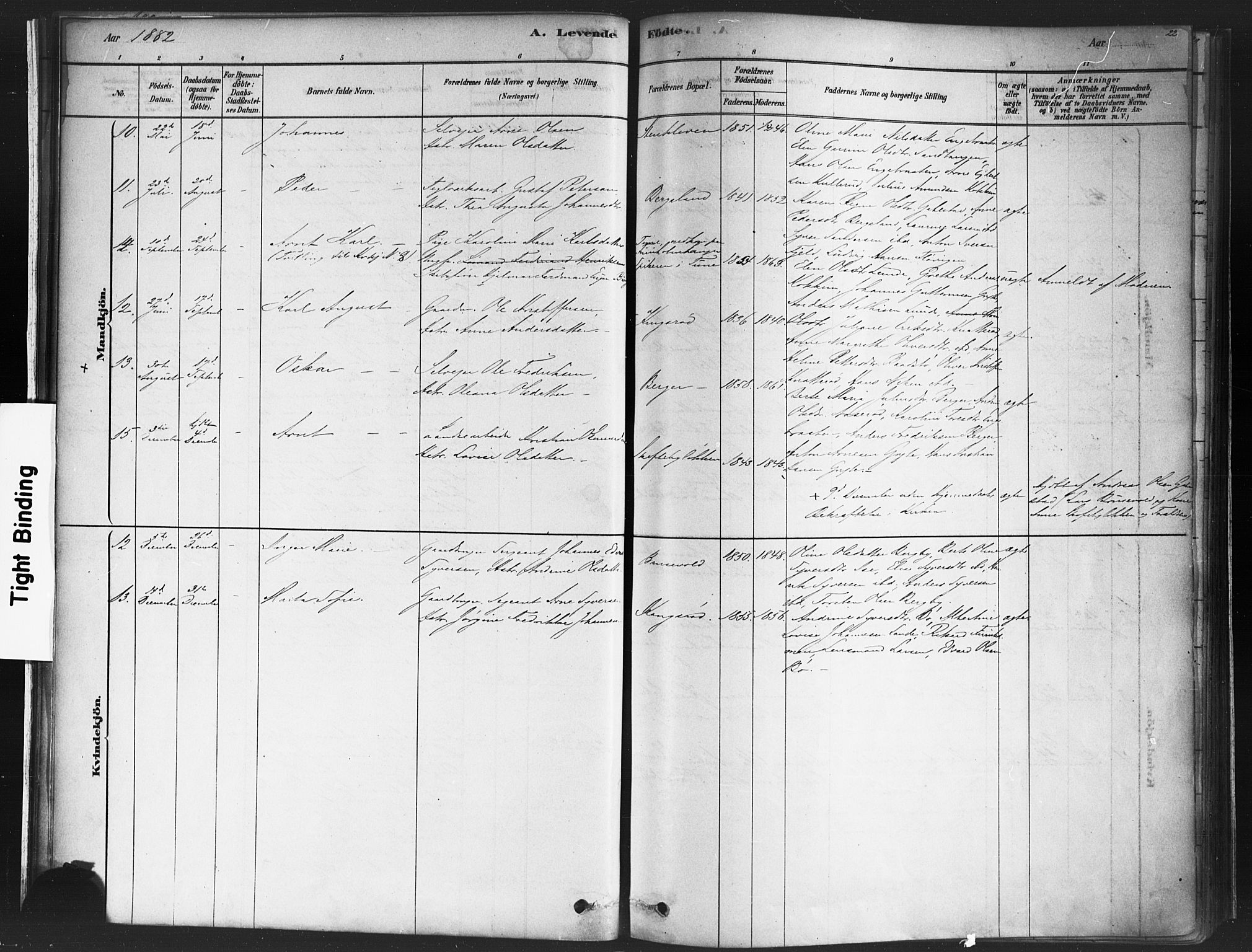 Varteig prestekontor Kirkebøker, SAO/A-10447a/F/Fa/L0002: Parish register (official) no. 2, 1878-1899, p. 22