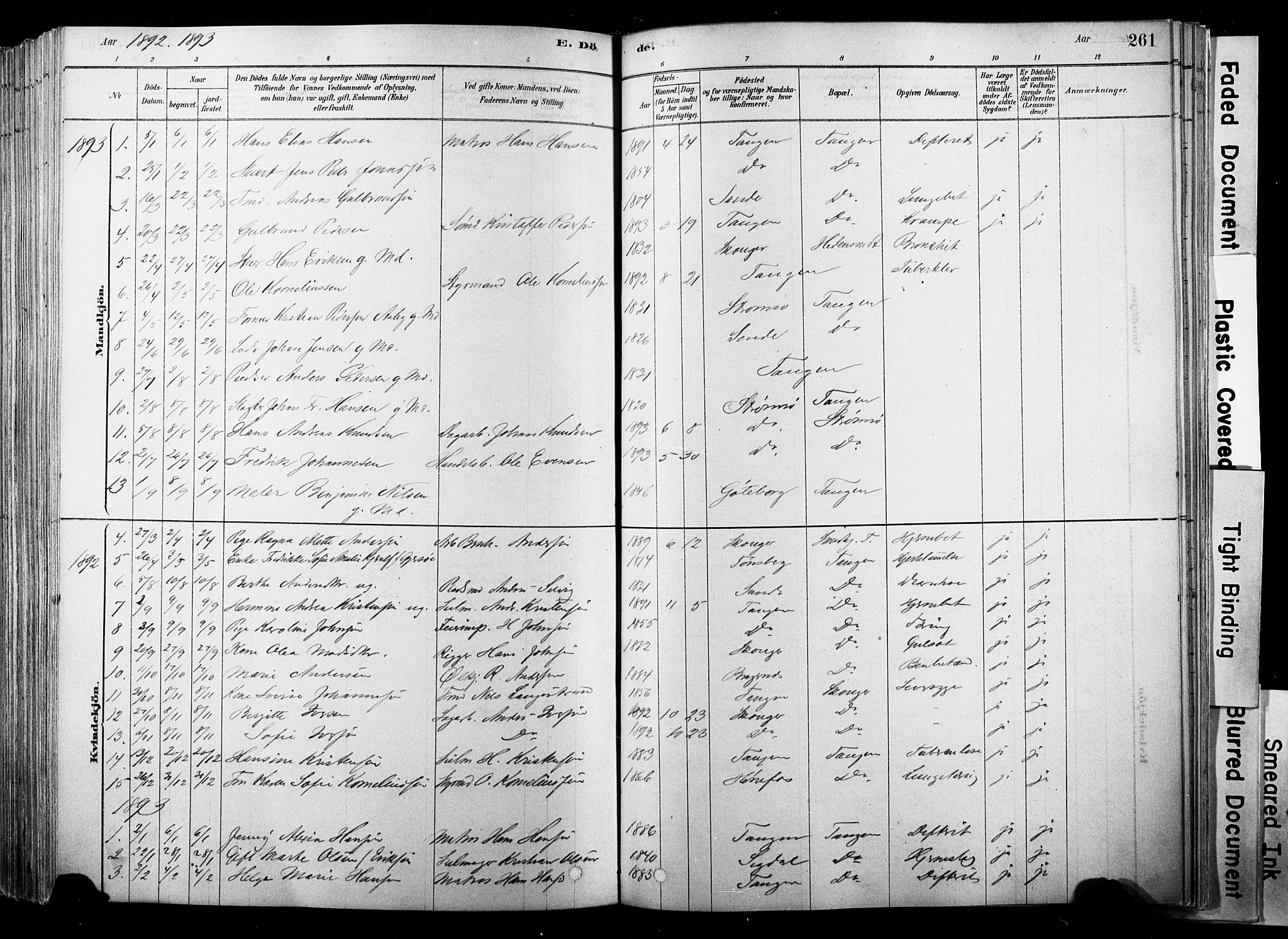 Strømsø kirkebøker, SAKO/A-246/F/Fb/L0006: Parish register (official) no. II 6, 1879-1910, p. 261