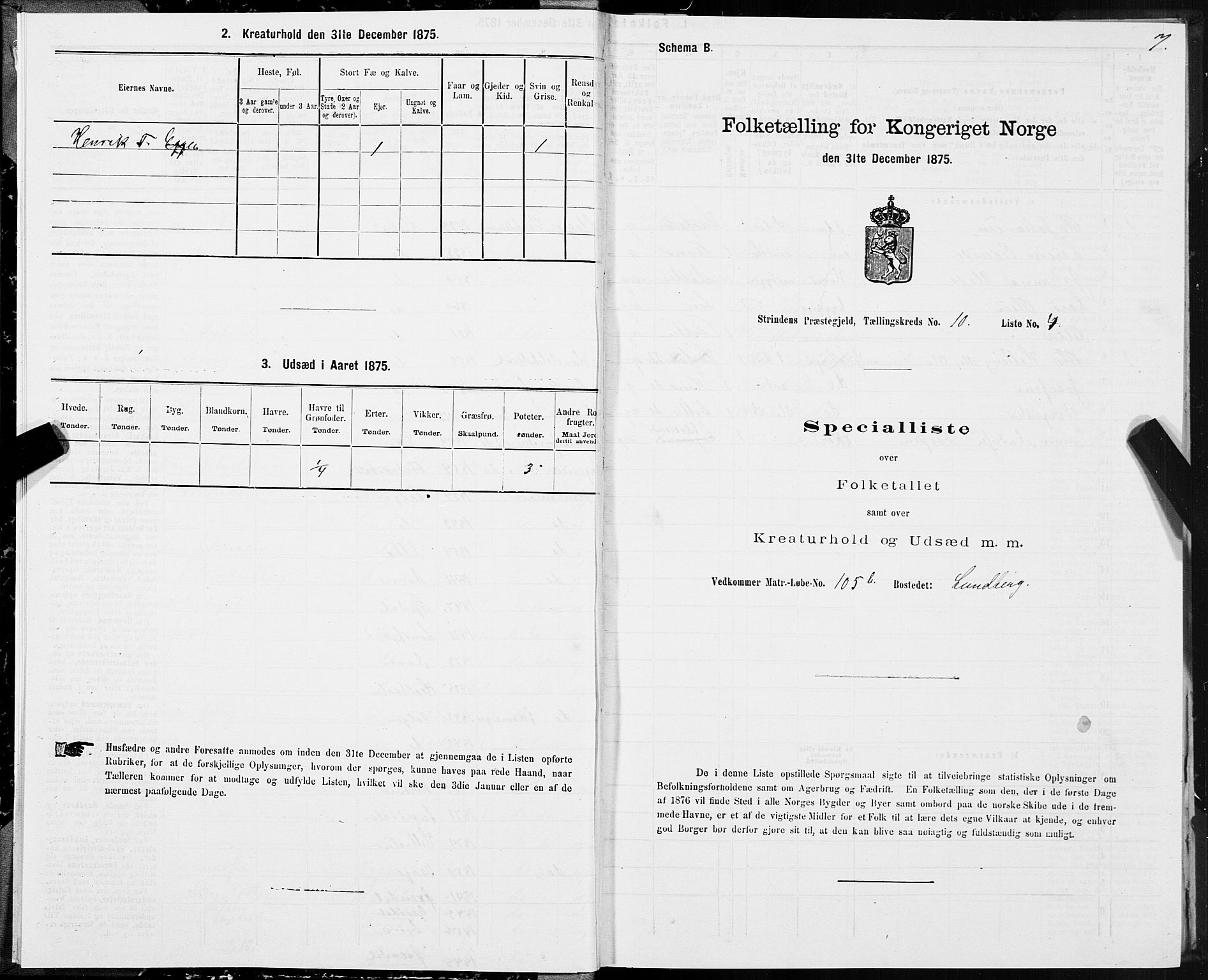 SAT, 1875 census for 1660P Strinda, 1875, p. 6007