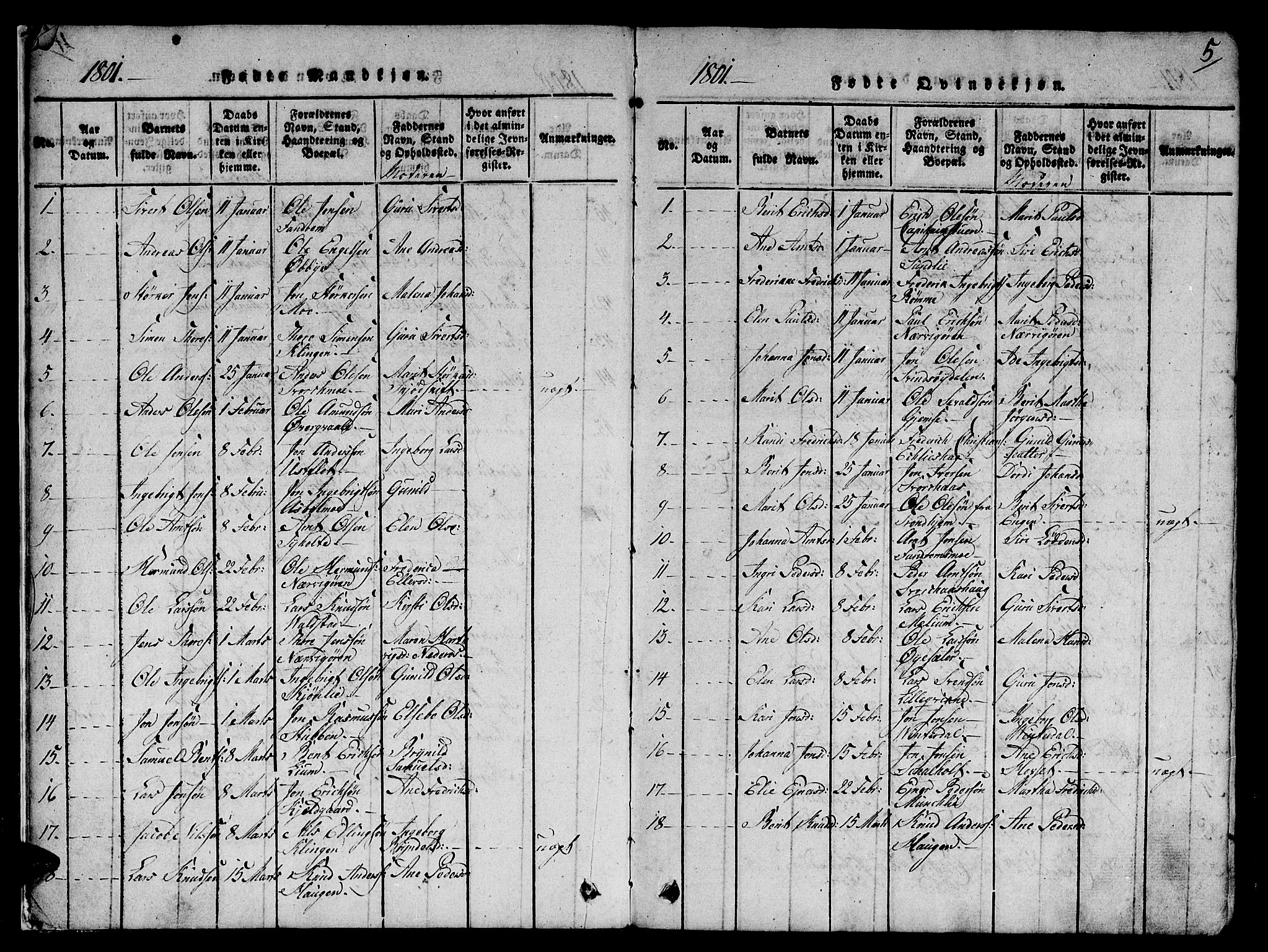 Ministerialprotokoller, klokkerbøker og fødselsregistre - Sør-Trøndelag, AV/SAT-A-1456/668/L0803: Parish register (official) no. 668A03, 1800-1826, p. 5