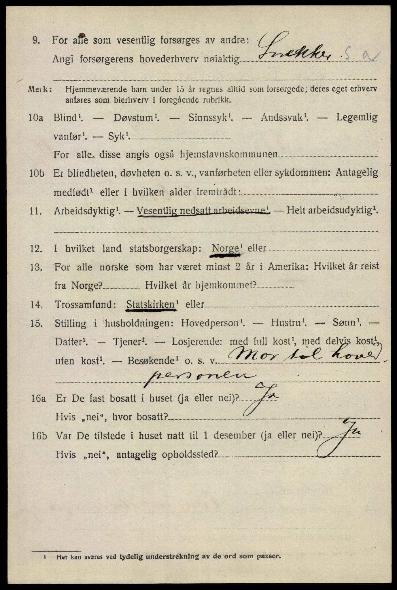 SAO, 1920 census for Nes, 1920, p. 11939