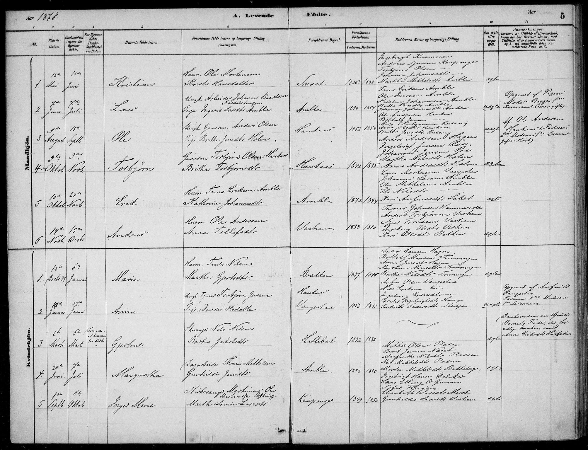 Sogndal sokneprestembete, SAB/A-81301/H/Haa/Haad/L0001: Parish register (official) no. D  1, 1878-1907, p. 5