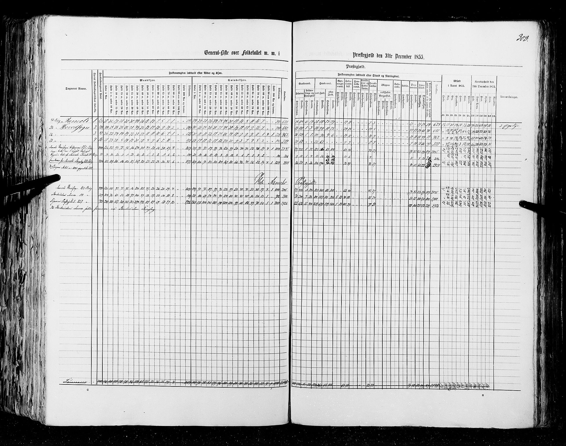 RA, Census 1855, vol. 1: Akershus amt, Smålenenes amt og Hedemarken amt, 1855, p. 303