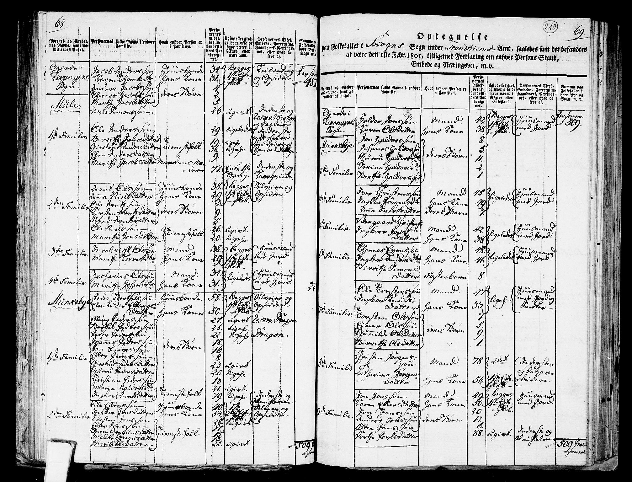 RA, 1801 census for 1719P Skogn, 1801, p. 209b-210a