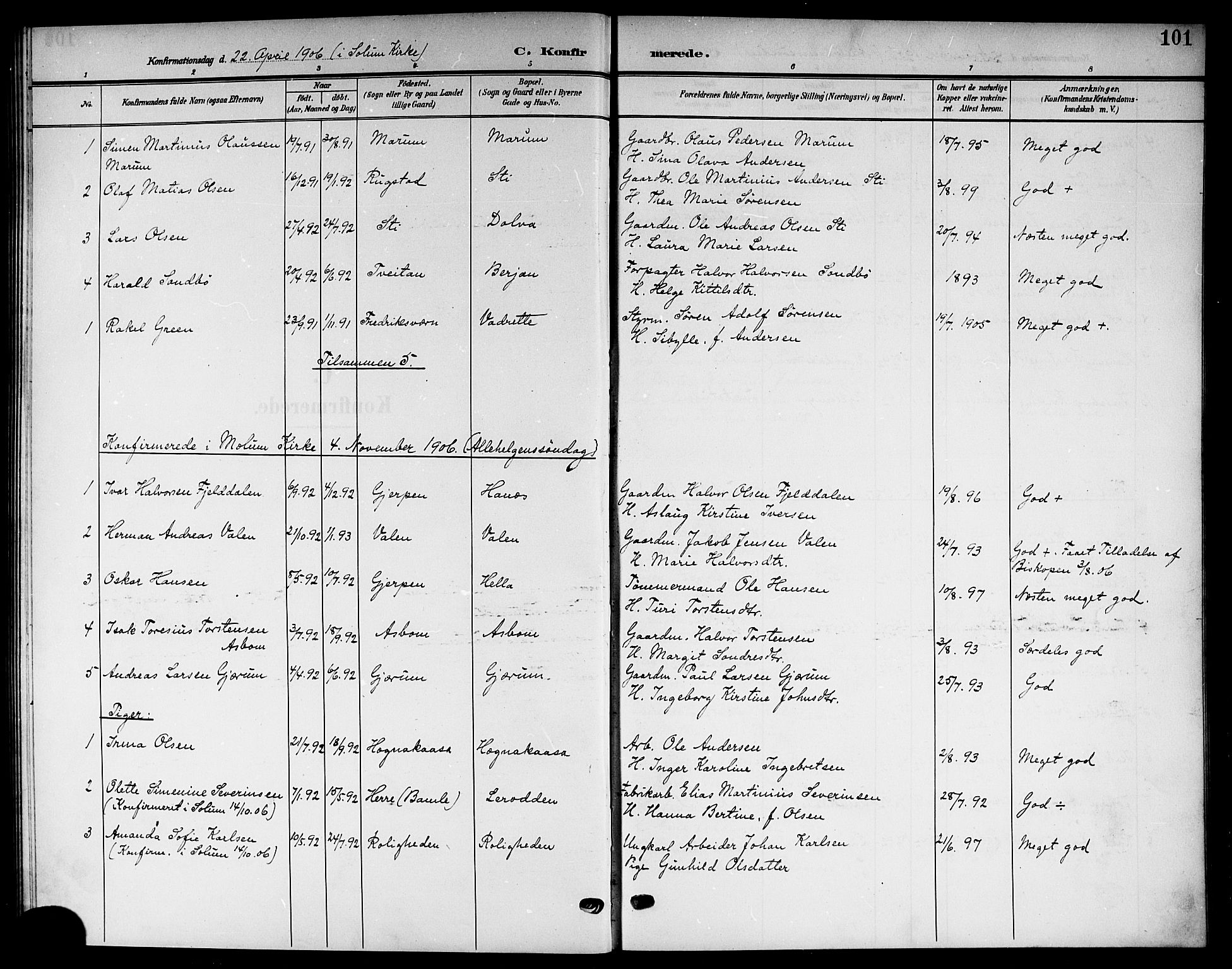 Solum kirkebøker, AV/SAKO-A-306/G/Gb/L0005: Parish register (copy) no. II 5, 1905-1914, p. 101
