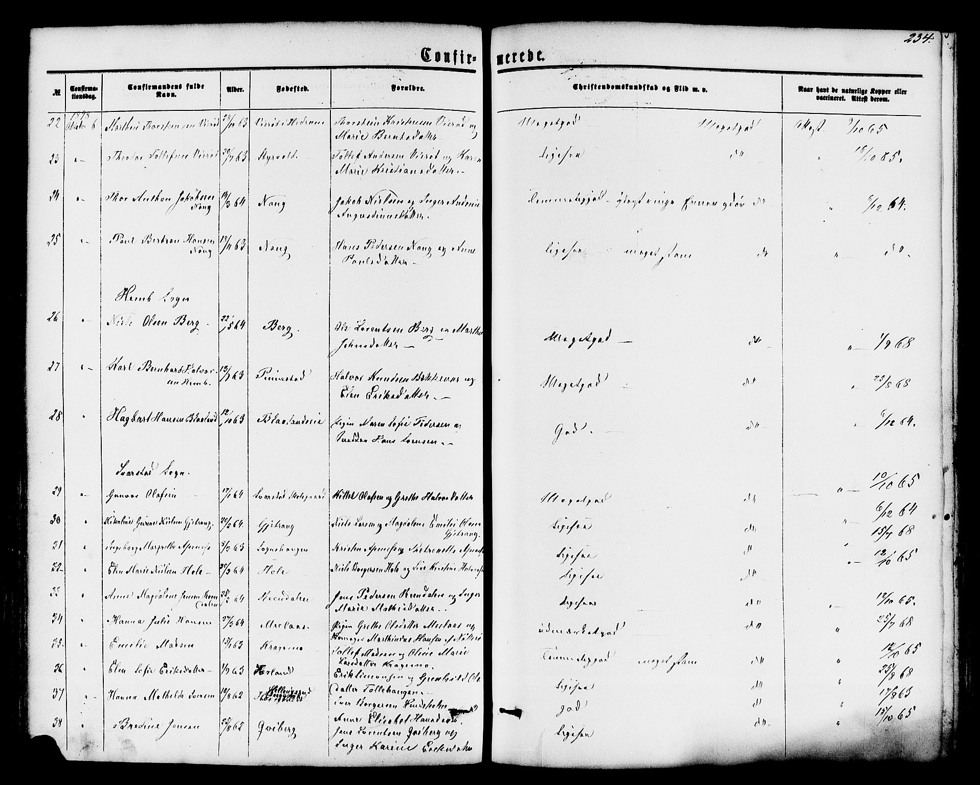 Lardal kirkebøker, AV/SAKO-A-350/F/Fa/L0007: Parish register (official) no. I 7, 1861-1880, p. 234