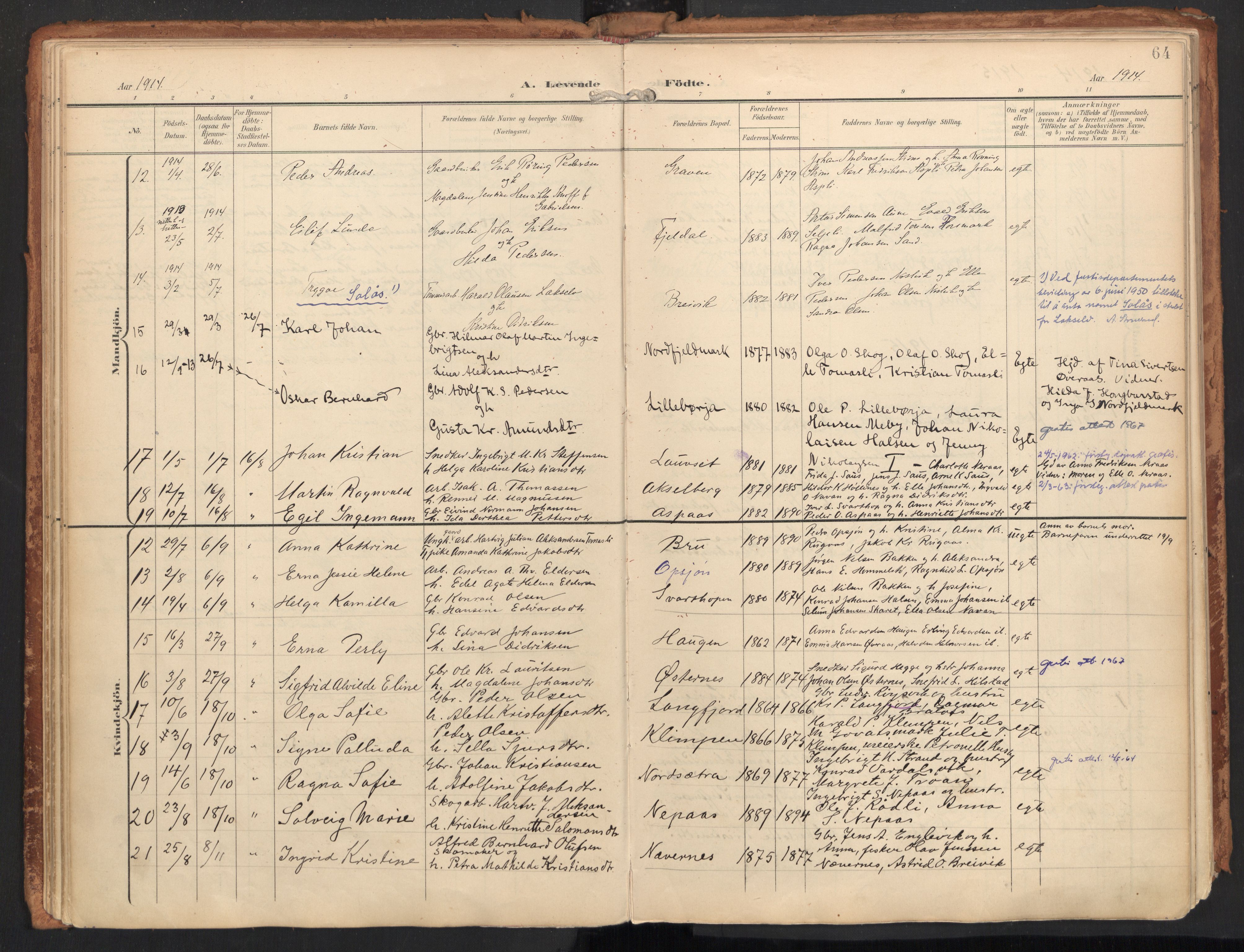 Ministerialprotokoller, klokkerbøker og fødselsregistre - Nordland, AV/SAT-A-1459/814/L0227: Parish register (official) no. 814A08, 1899-1920, p. 64