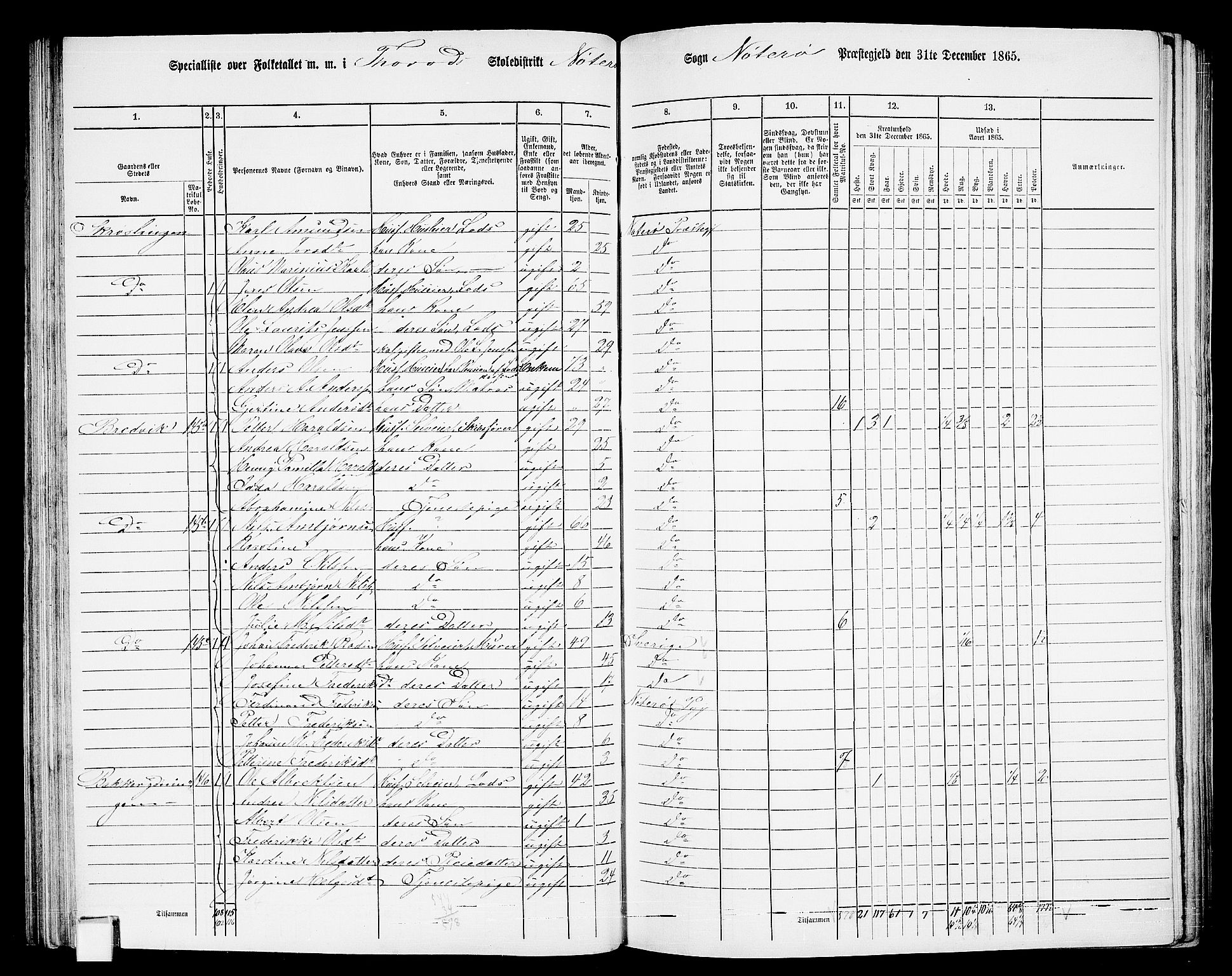 RA, 1865 census for Nøtterøy, 1865, p. 111