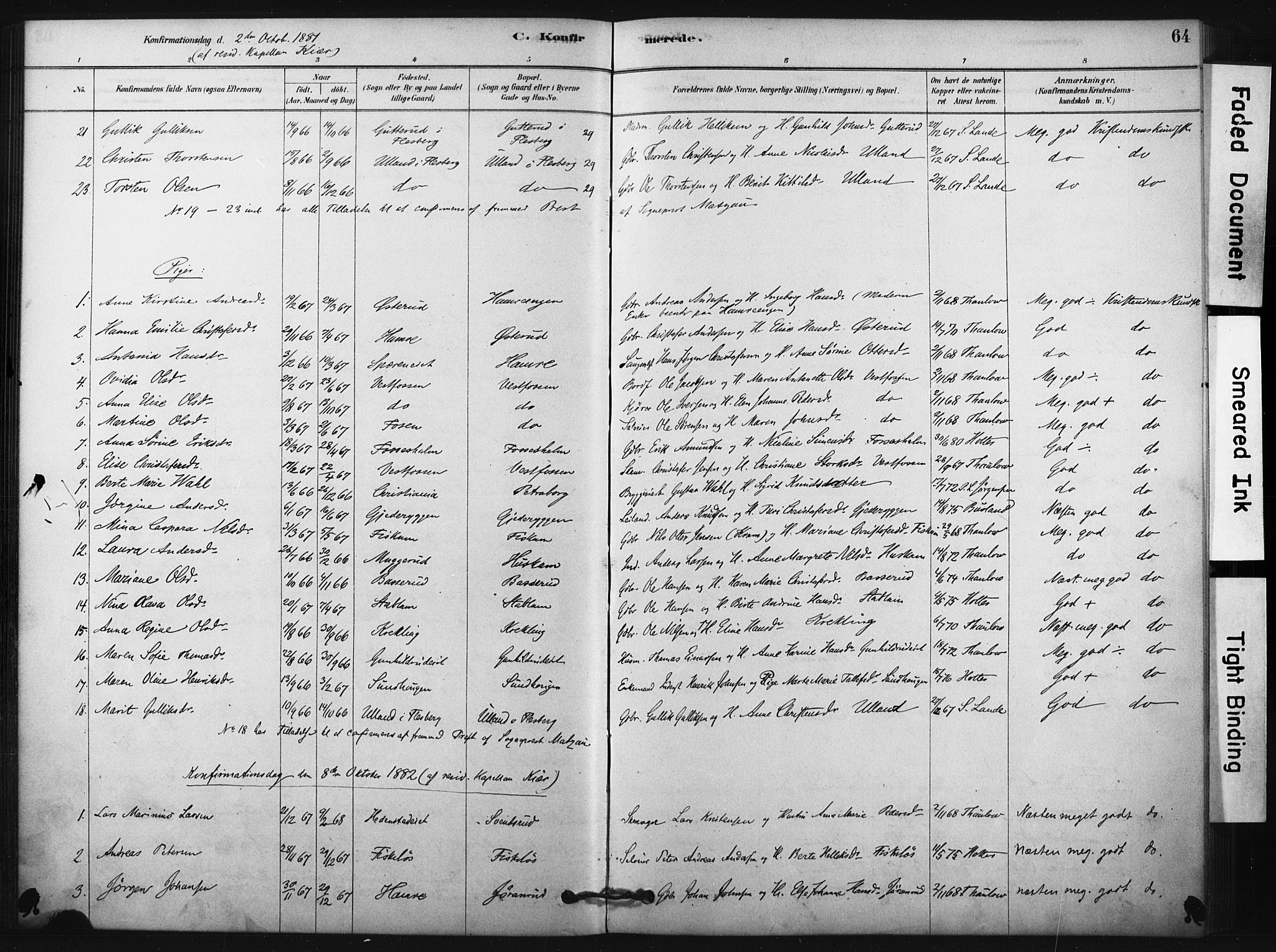 Fiskum kirkebøker, AV/SAKO-A-15/F/Fa/L0002: Parish register (official) no. 2, 1878-1890, p. 64