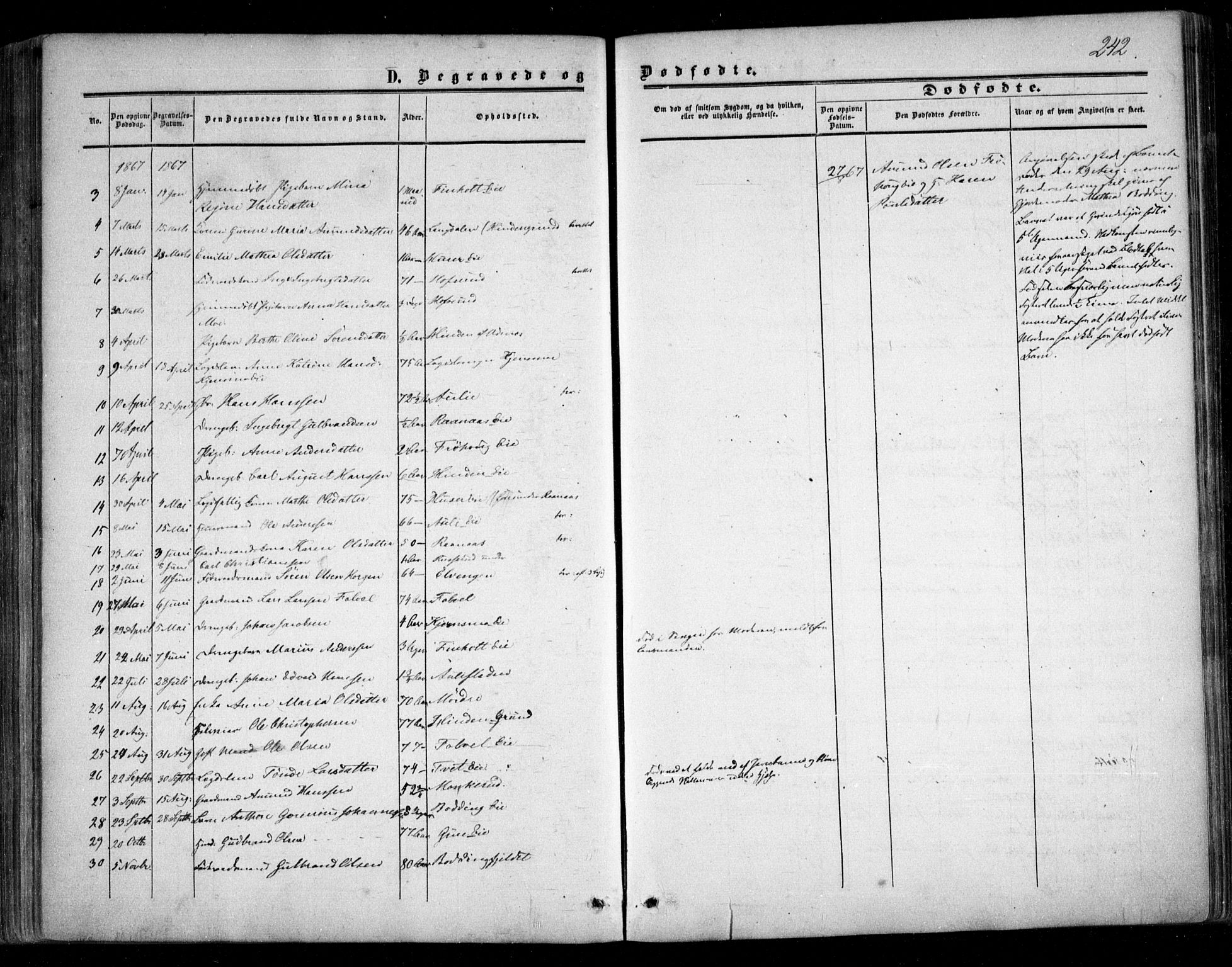Nes prestekontor Kirkebøker, SAO/A-10410/F/Fc/L0001: Parish register (official) no. III 1, 1859-1882, p. 242