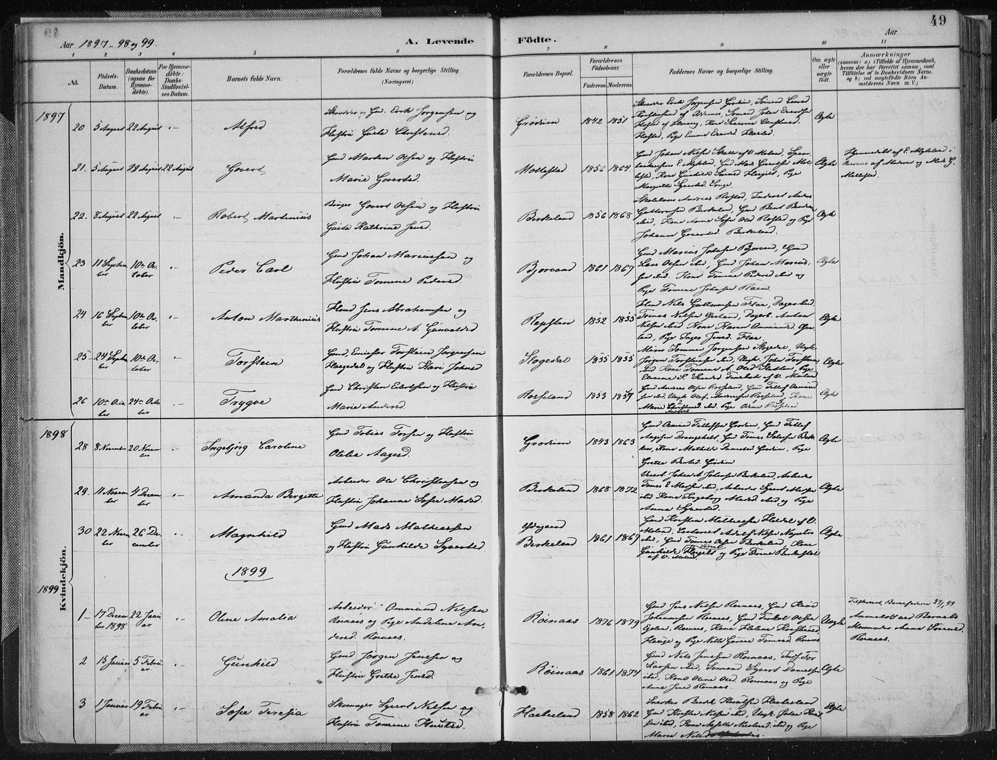 Birkenes sokneprestkontor, AV/SAK-1111-0004/F/Fa/L0005: Parish register (official) no. A 5, 1887-1907, p. 49