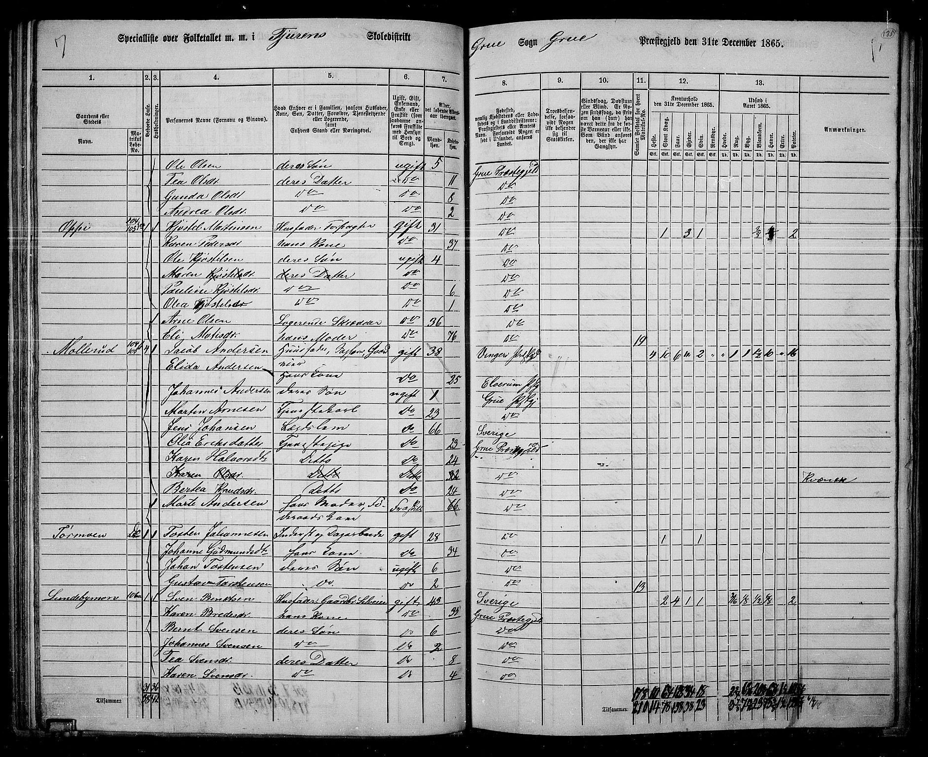 RA, 1865 census for Grue, 1865, p. 114