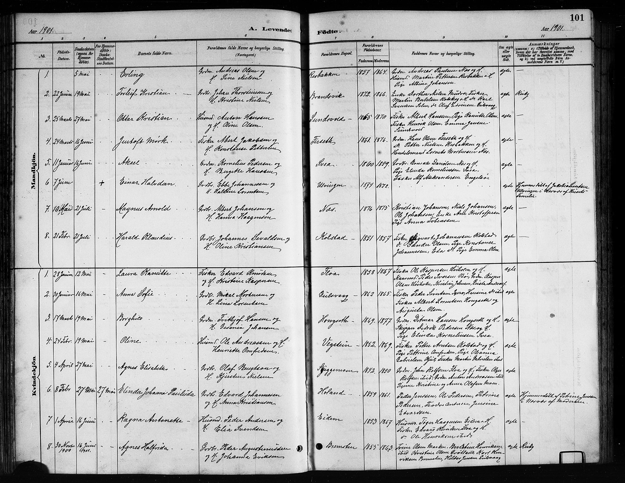 Ministerialprotokoller, klokkerbøker og fødselsregistre - Nordland, AV/SAT-A-1459/816/L0253: Parish register (copy) no. 816C03, 1886-1905, p. 101