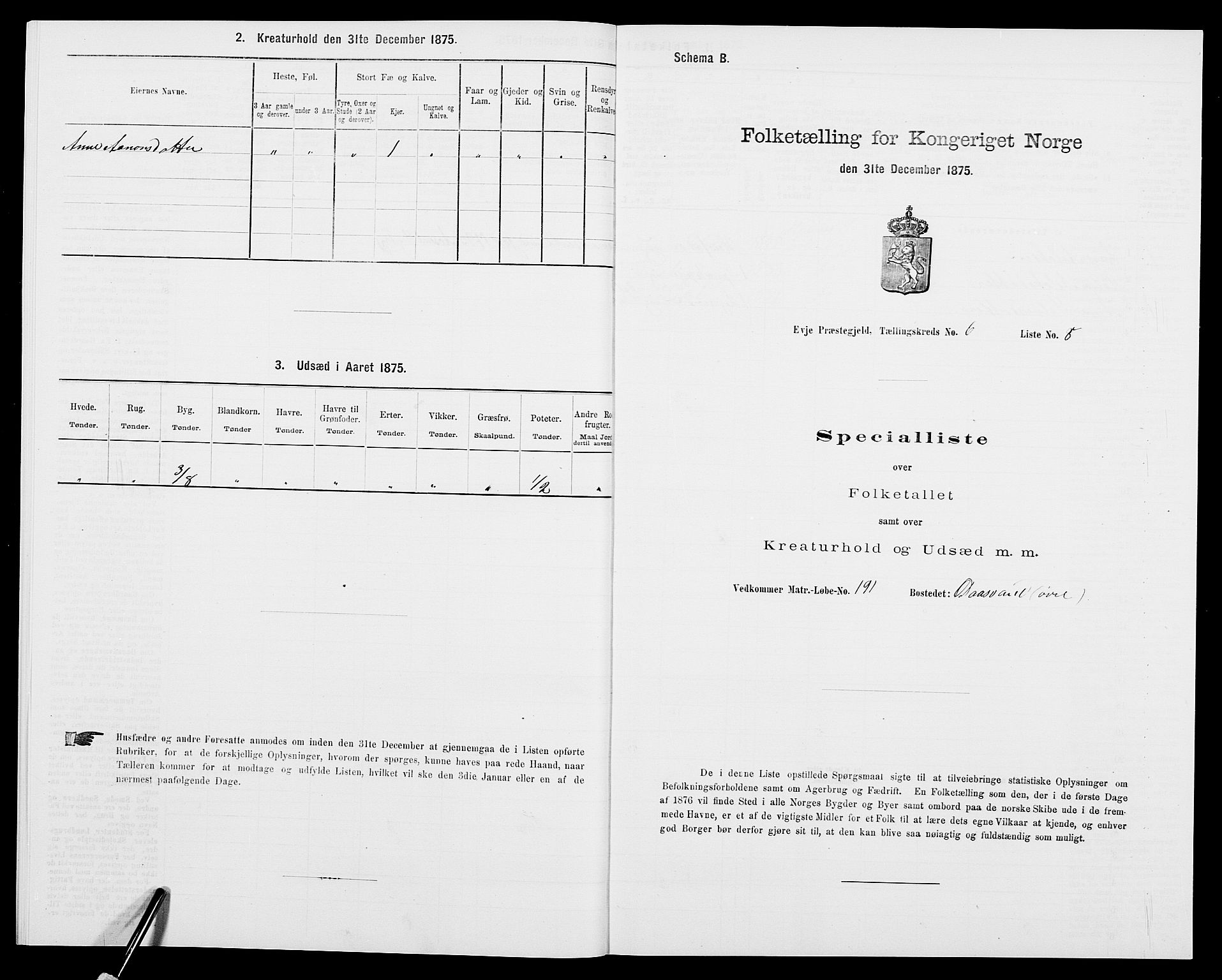 SAK, 1875 census for 0934P Evje, 1875, p. 523