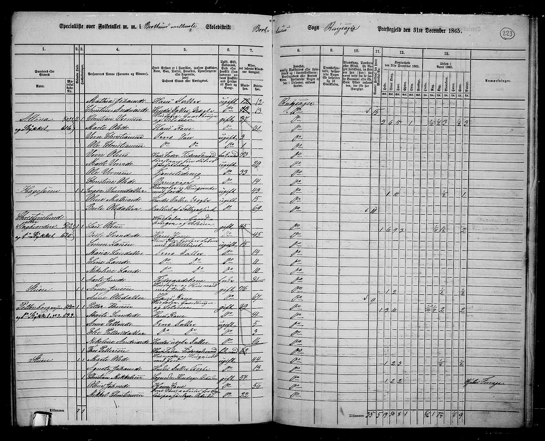 RA, 1865 census for Ringsaker, 1865, p. 462