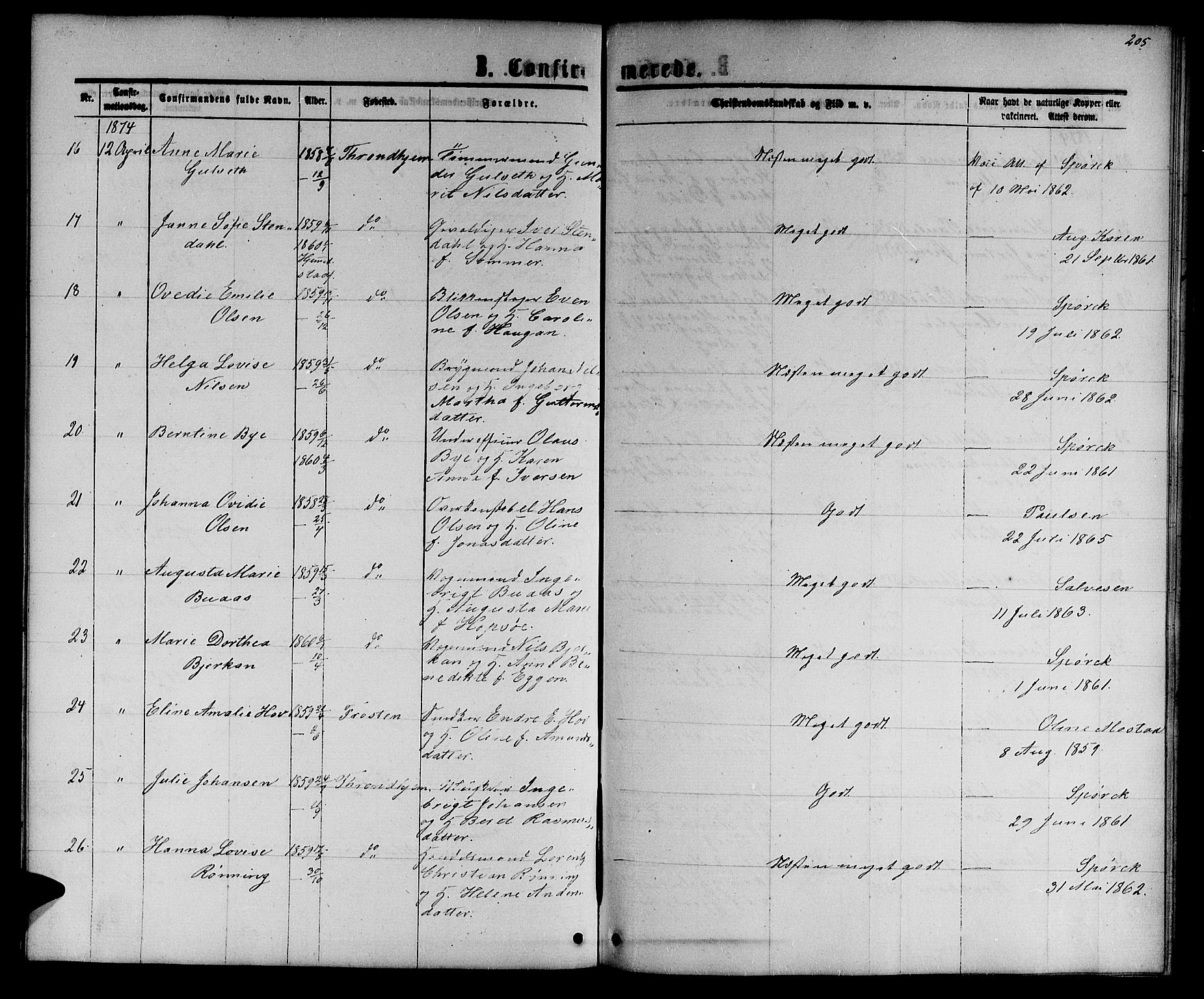 Ministerialprotokoller, klokkerbøker og fødselsregistre - Sør-Trøndelag, AV/SAT-A-1456/601/L0087: Parish register (copy) no. 601C05, 1864-1881, p. 205