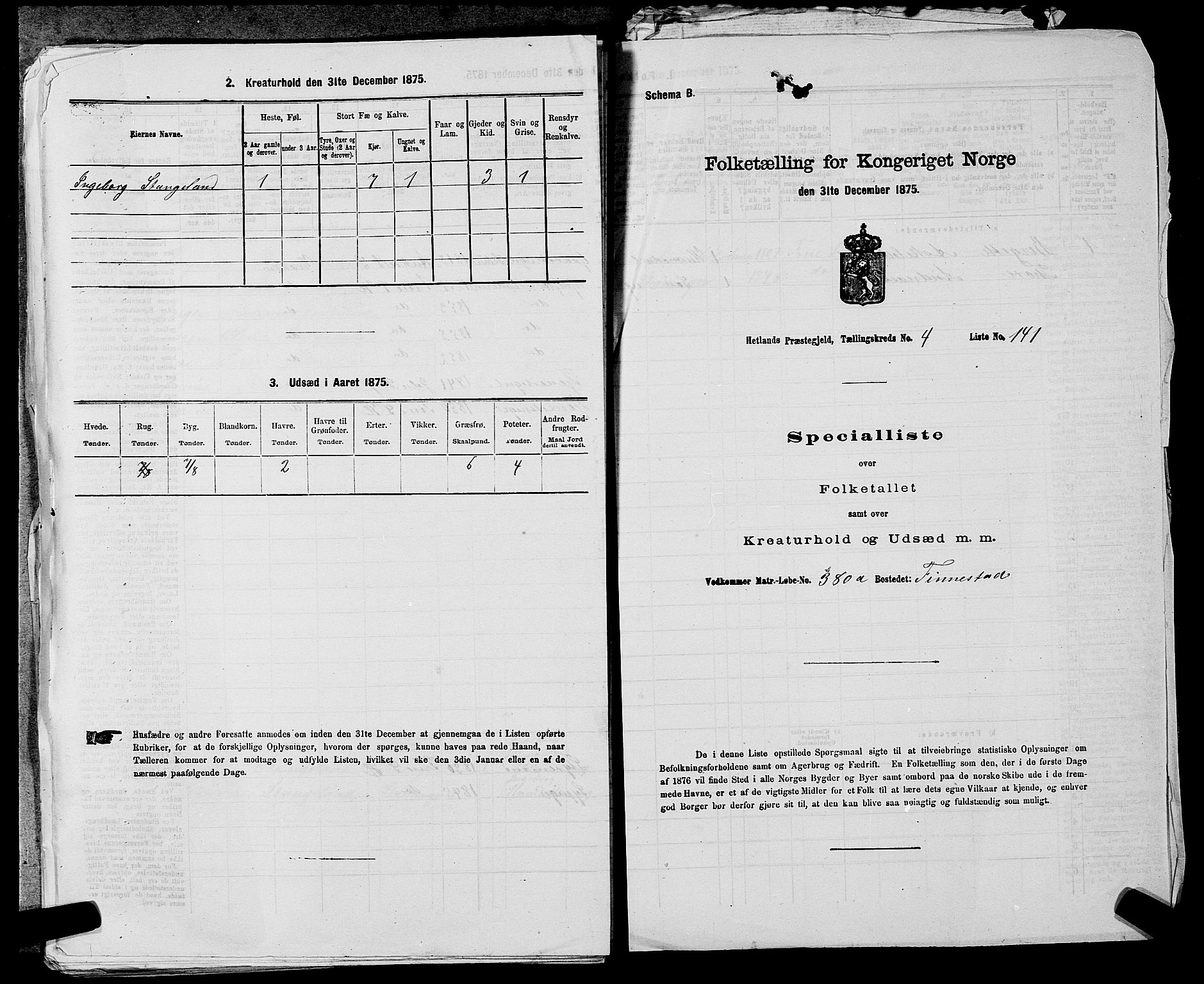 SAST, 1875 census for 1126P Hetland, 1875, p. 1048
