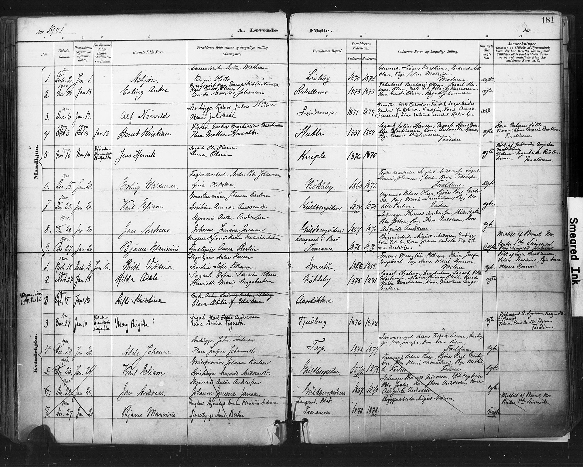 Glemmen prestekontor Kirkebøker, AV/SAO-A-10908/F/Fa/L0013: Parish register (official) no. 13, 1892-1907, p. 181