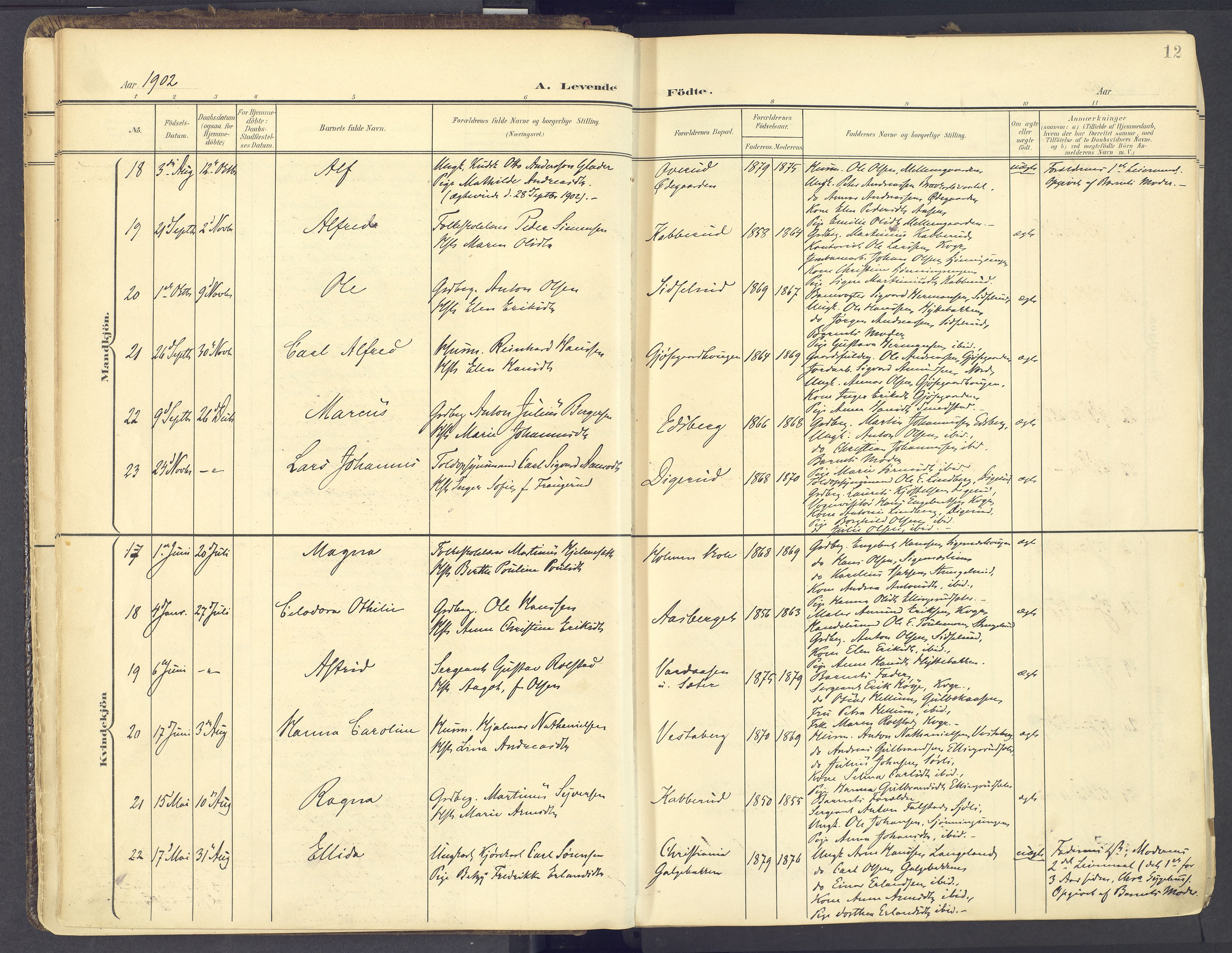 Vinger prestekontor, SAH/PREST-024/H/Ha/Haa/L0017: Parish register (official) no. 17, 1901-1927, p. 12