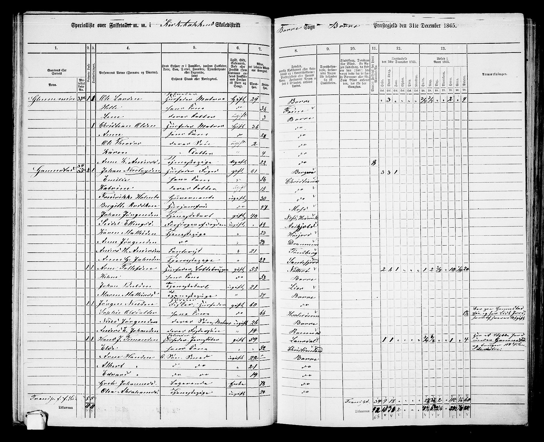 RA, 1865 census for Borre, 1865, p. 65