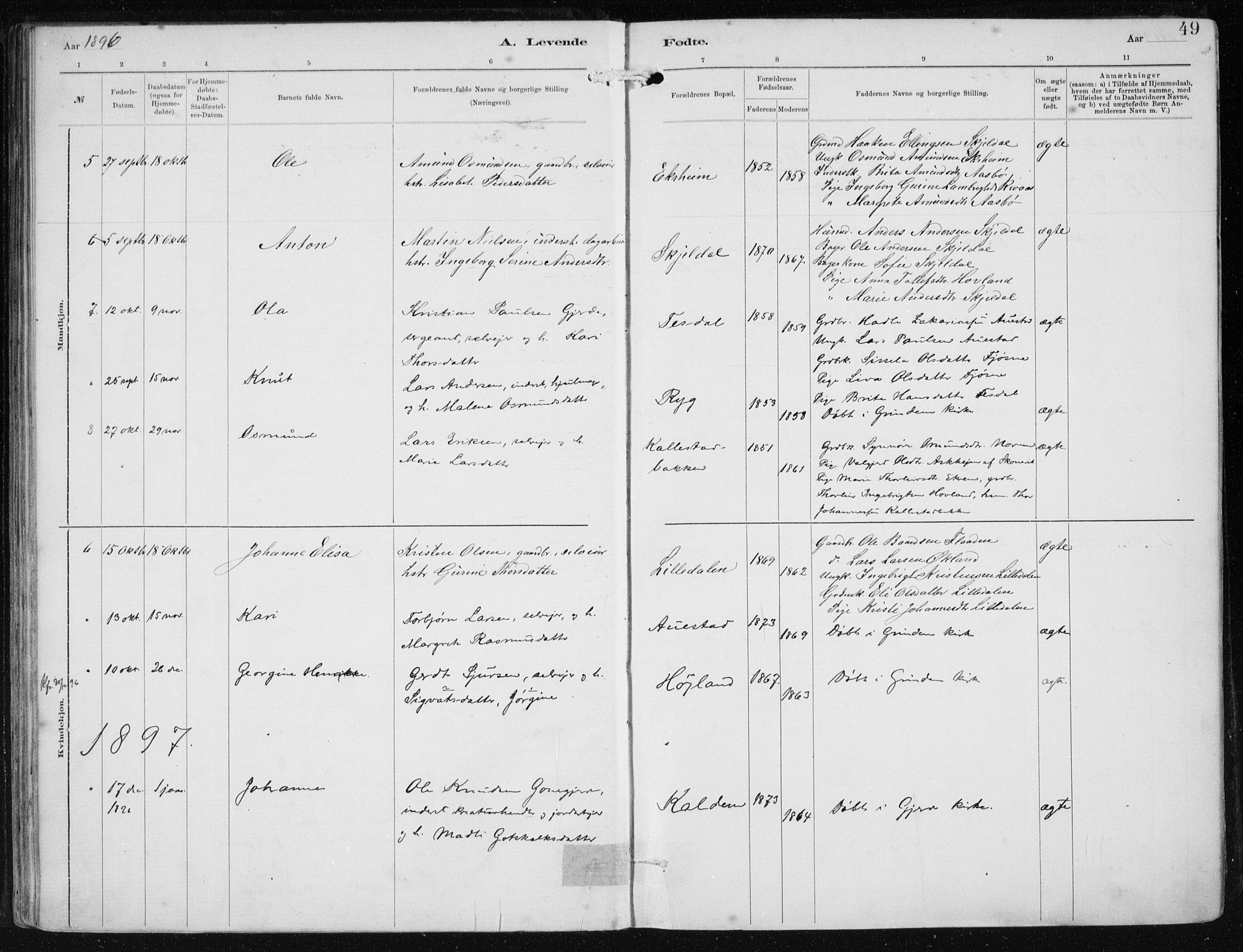 Etne sokneprestembete, SAB/A-75001/H/Haa: Parish register (official) no. B  1, 1879-1919, p. 49
