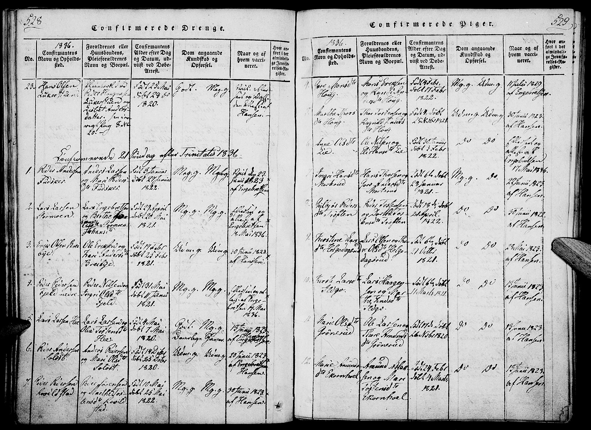 Nord-Odal prestekontor, AV/SAH-PREST-032/H/Ha/Haa/L0001: Parish register (official) no. 1, 1819-1838, p. 528-529