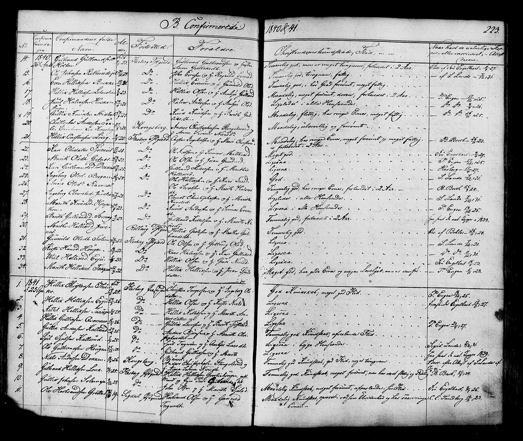 Flesberg kirkebøker, AV/SAKO-A-18/F/Fa/L0006: Parish register (official) no. I 6, 1834-1860, p. 223