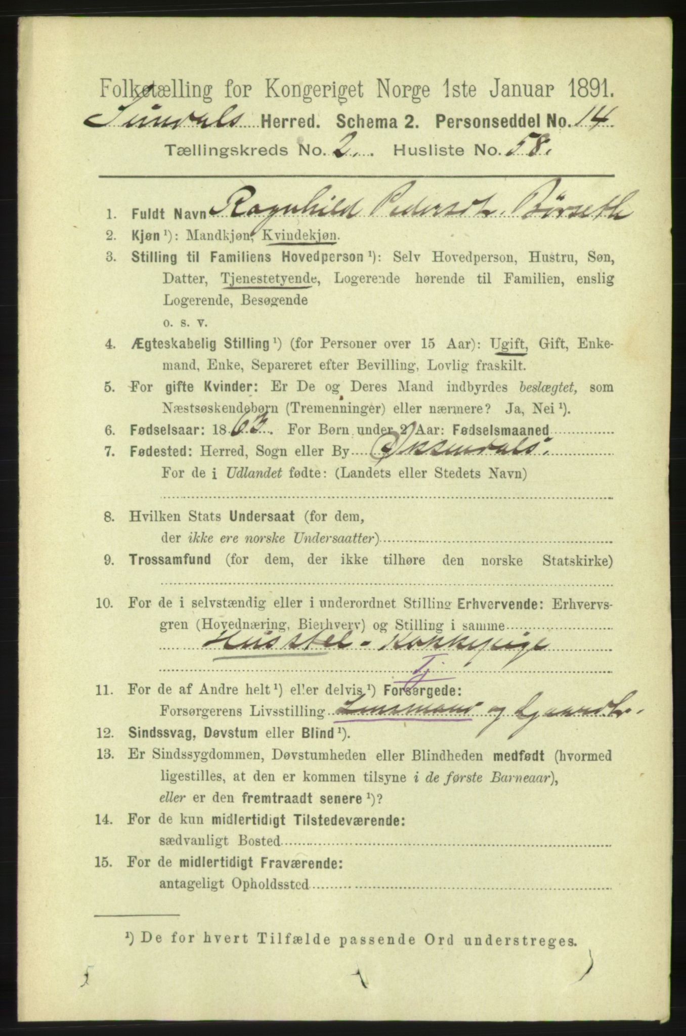 RA, 1891 census for 1563 Sunndal, 1891, p. 600