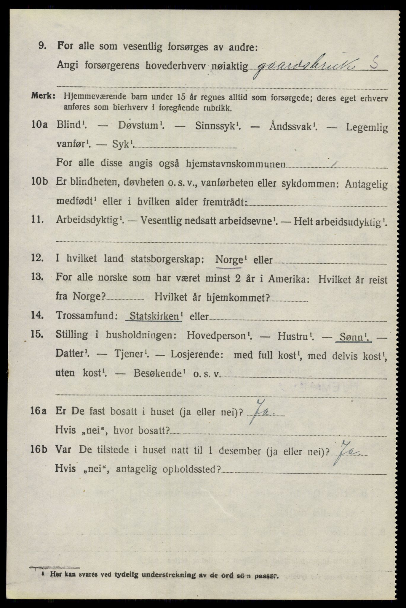 SAO, 1920 census for Nes, 1920, p. 12239