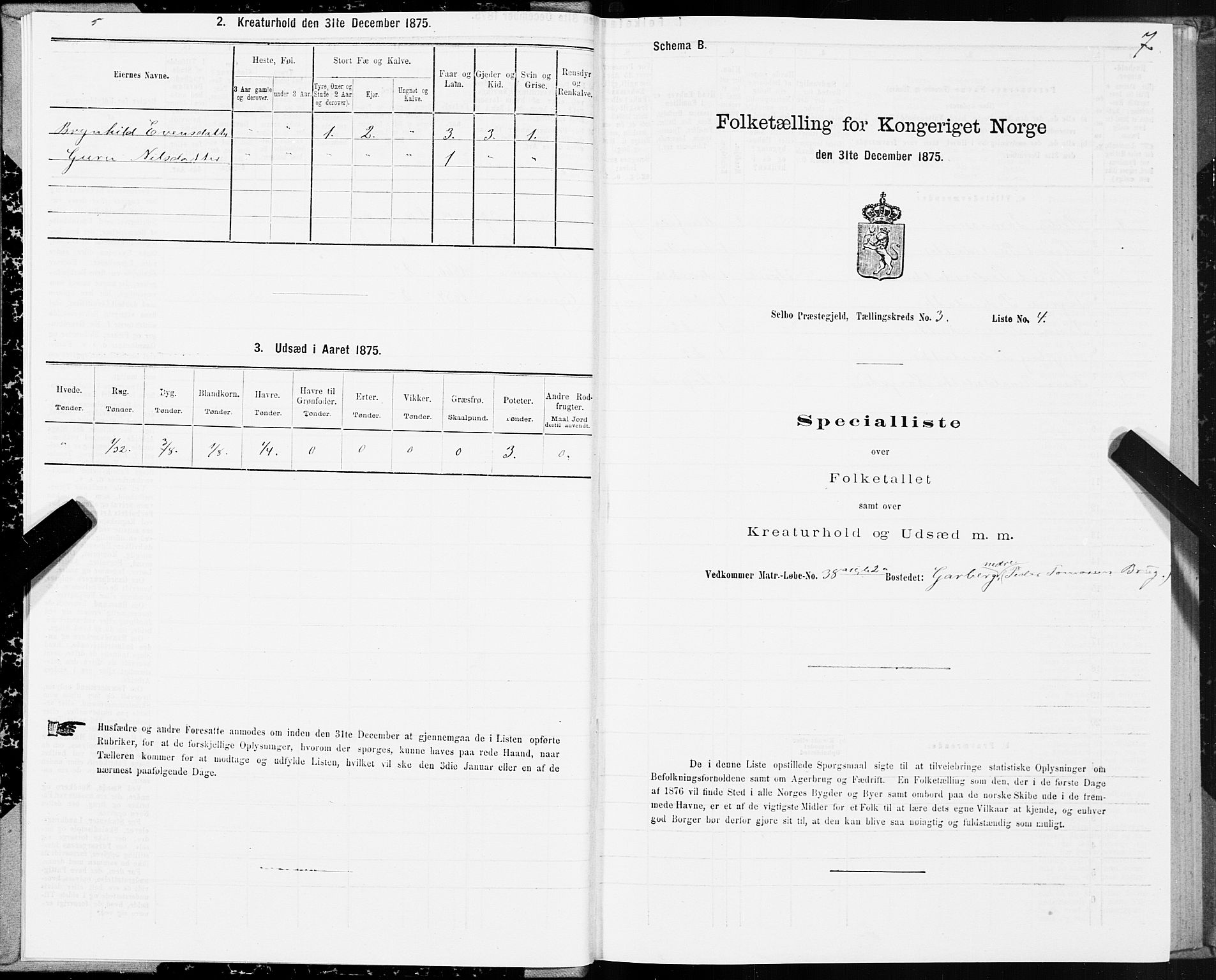 SAT, 1875 census for 1664P Selbu, 1875, p. 2007