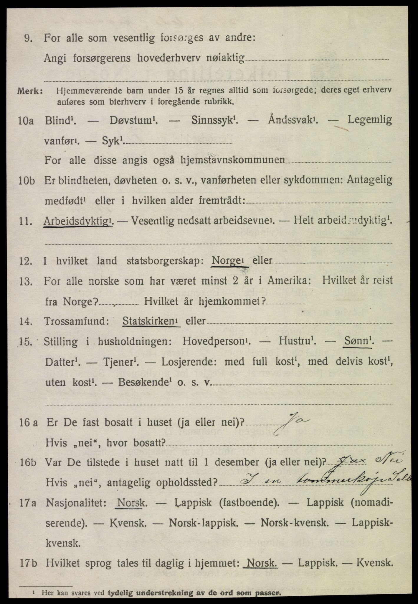 SAT, 1920 census for Selbu, 1920, p. 10203