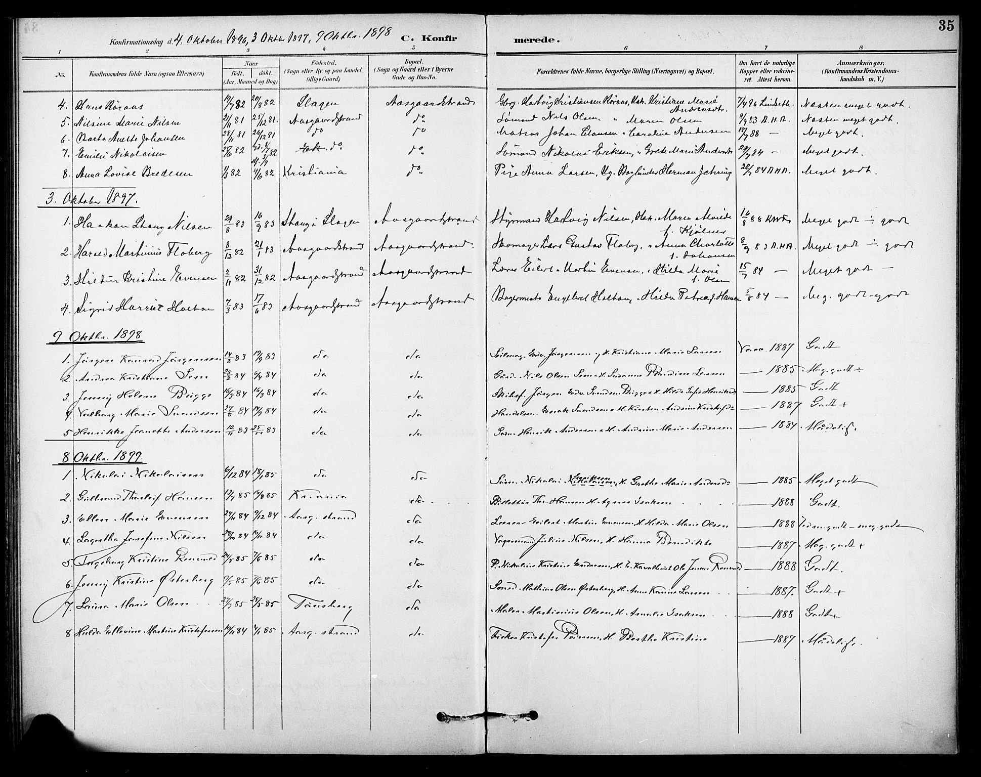 Borre kirkebøker, SAKO/A-338/F/Fb/L0002: Parish register (official) no. II 2, 1893-1905, p. 35