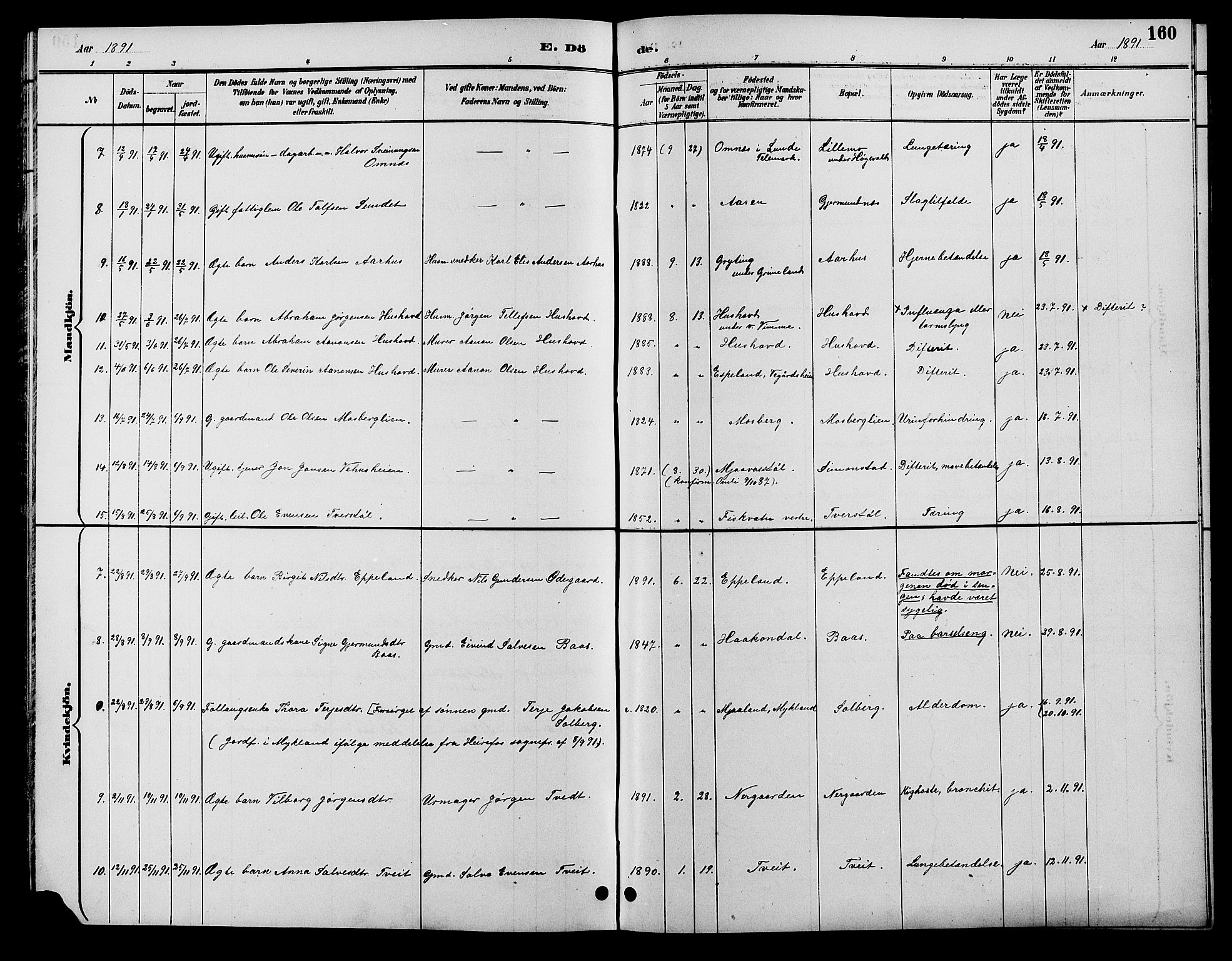 Åmli sokneprestkontor, SAK/1111-0050/F/Fb/Fbc/L0004: Parish register (copy) no. B 4, 1889-1902, p. 160