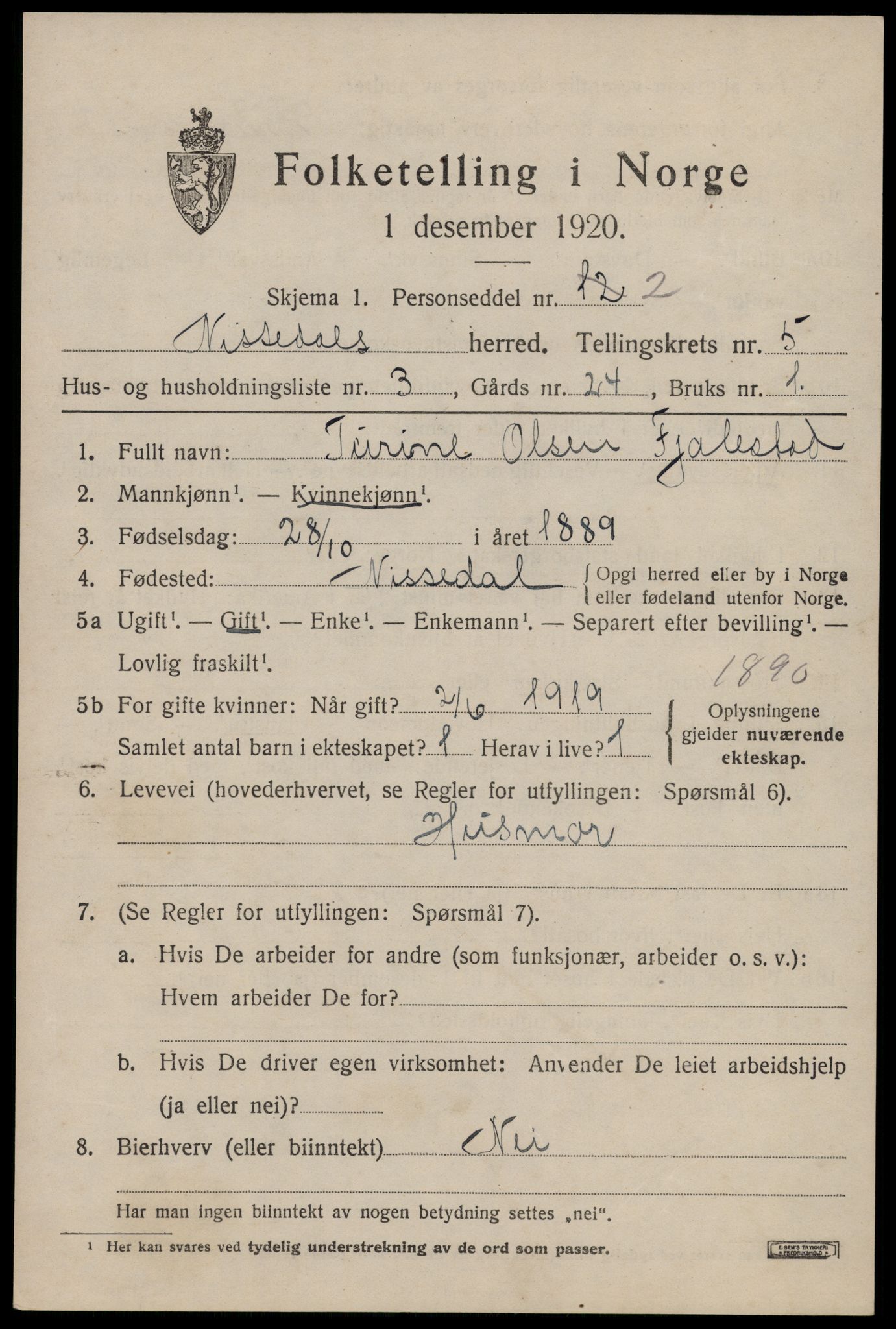 SAKO, 1920 census for Nissedal, 1920, p. 2053