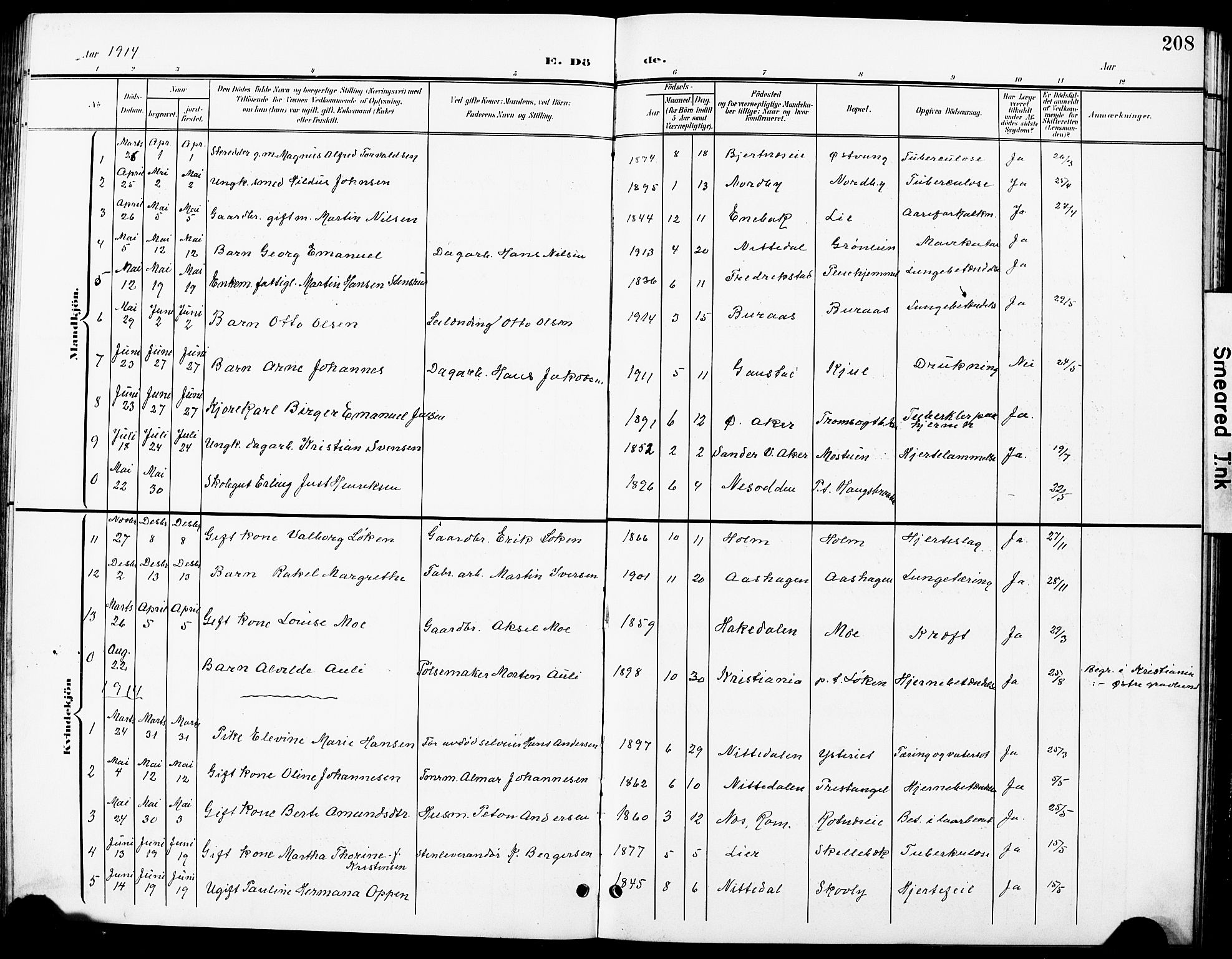 Nittedal prestekontor Kirkebøker, SAO/A-10365a/G/Ga/L0003: Parish register (copy) no. I 3, 1902-1929, p. 208