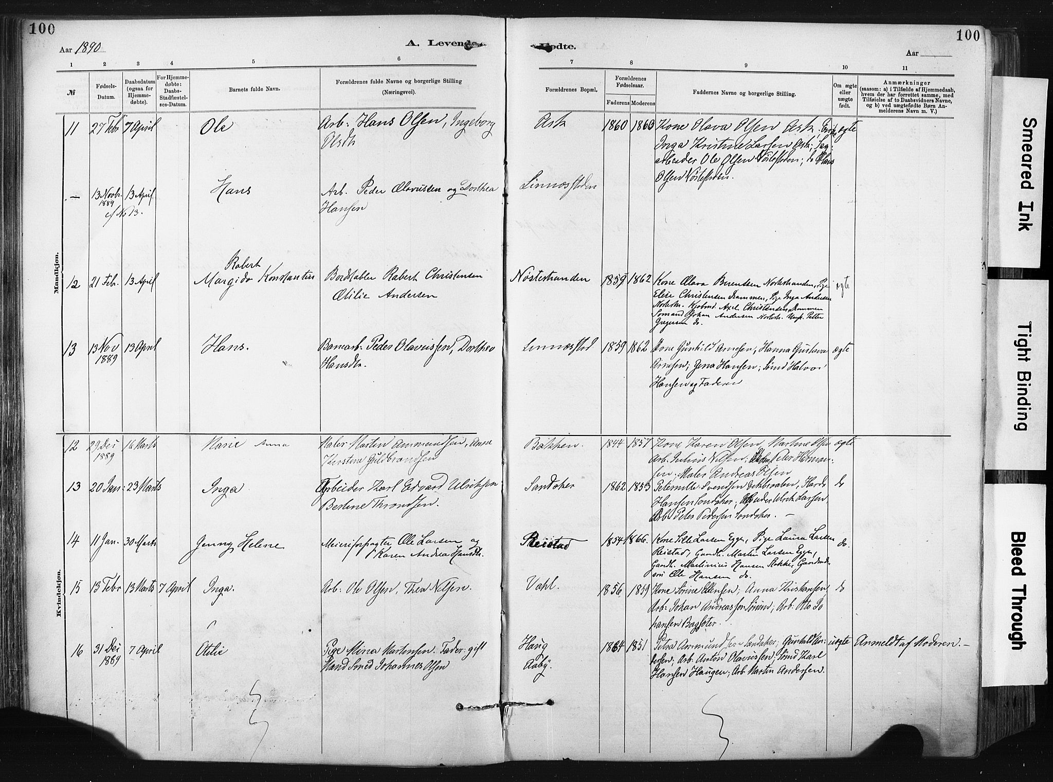 Lier kirkebøker, AV/SAKO-A-230/F/Fa/L0015: Parish register (official) no. I 15, 1883-1894, p. 100