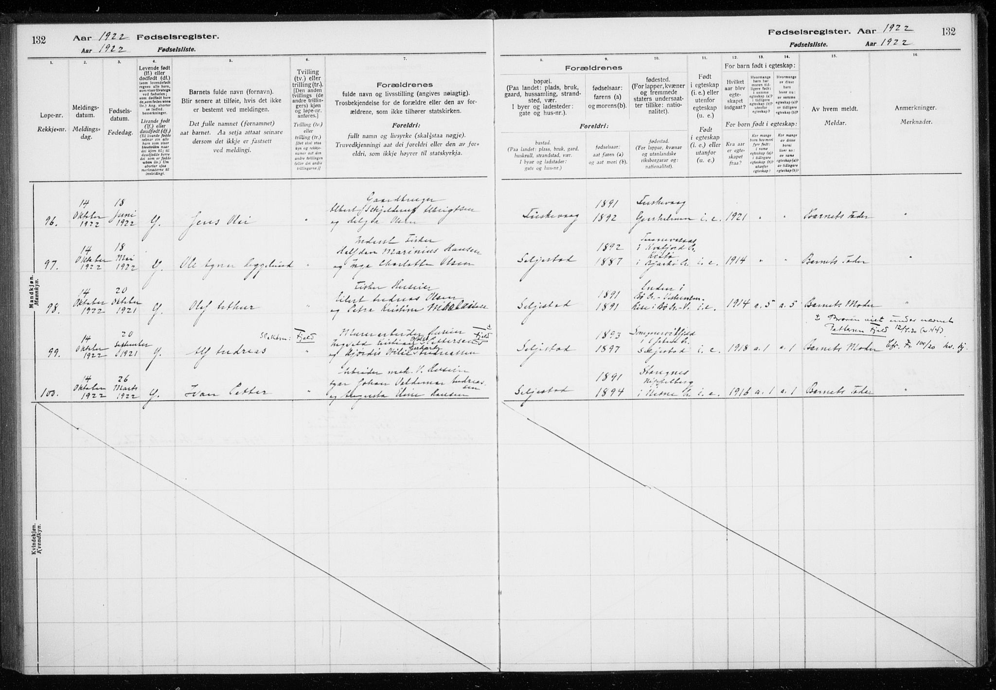 Trondenes sokneprestkontor, AV/SATØ-S-1319/I/Ia/L0089: Birth register no. 89, 1916-1925, p. 132