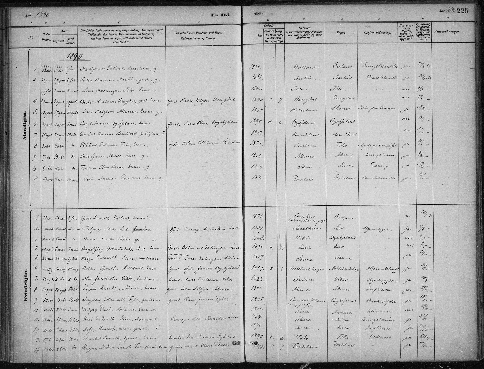 Kvam sokneprestembete, SAB/A-76201/H/Haa: Parish register (official) no. B  1, 1880-1908, p. 225