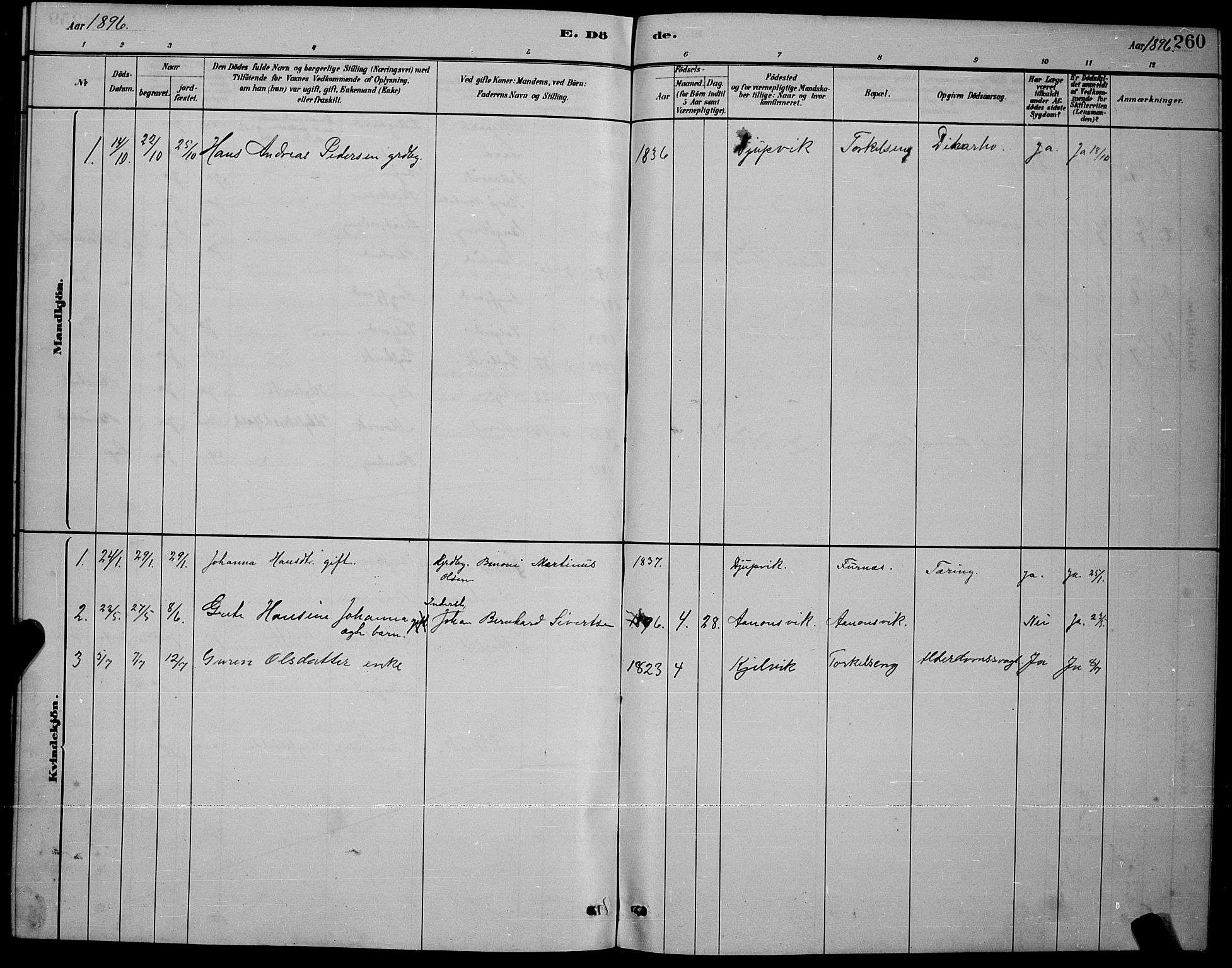 Ministerialprotokoller, klokkerbøker og fødselsregistre - Nordland, AV/SAT-A-1459/853/L0772: Parish register (official) no. 853A11, 1881-1900, p. 260