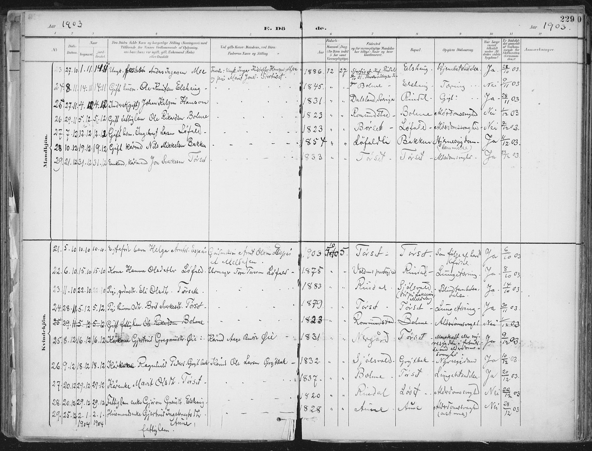 Ministerialprotokoller, klokkerbøker og fødselsregistre - Møre og Romsdal, AV/SAT-A-1454/598/L1072: Parish register (official) no. 598A06, 1896-1910, p. 229