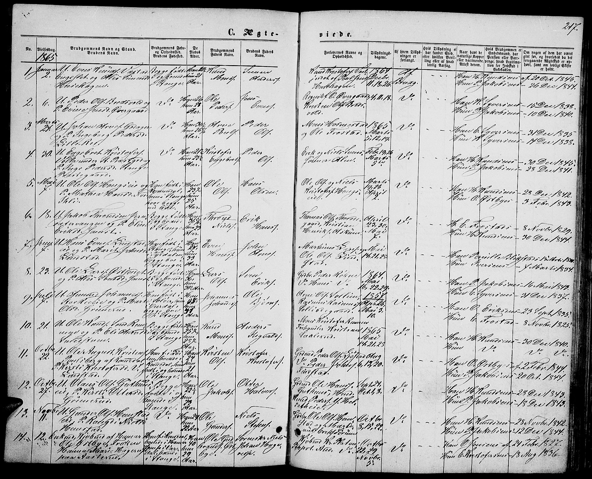 Stange prestekontor, SAH/PREST-002/L/L0006: Parish register (copy) no. 6, 1864-1882, p. 217