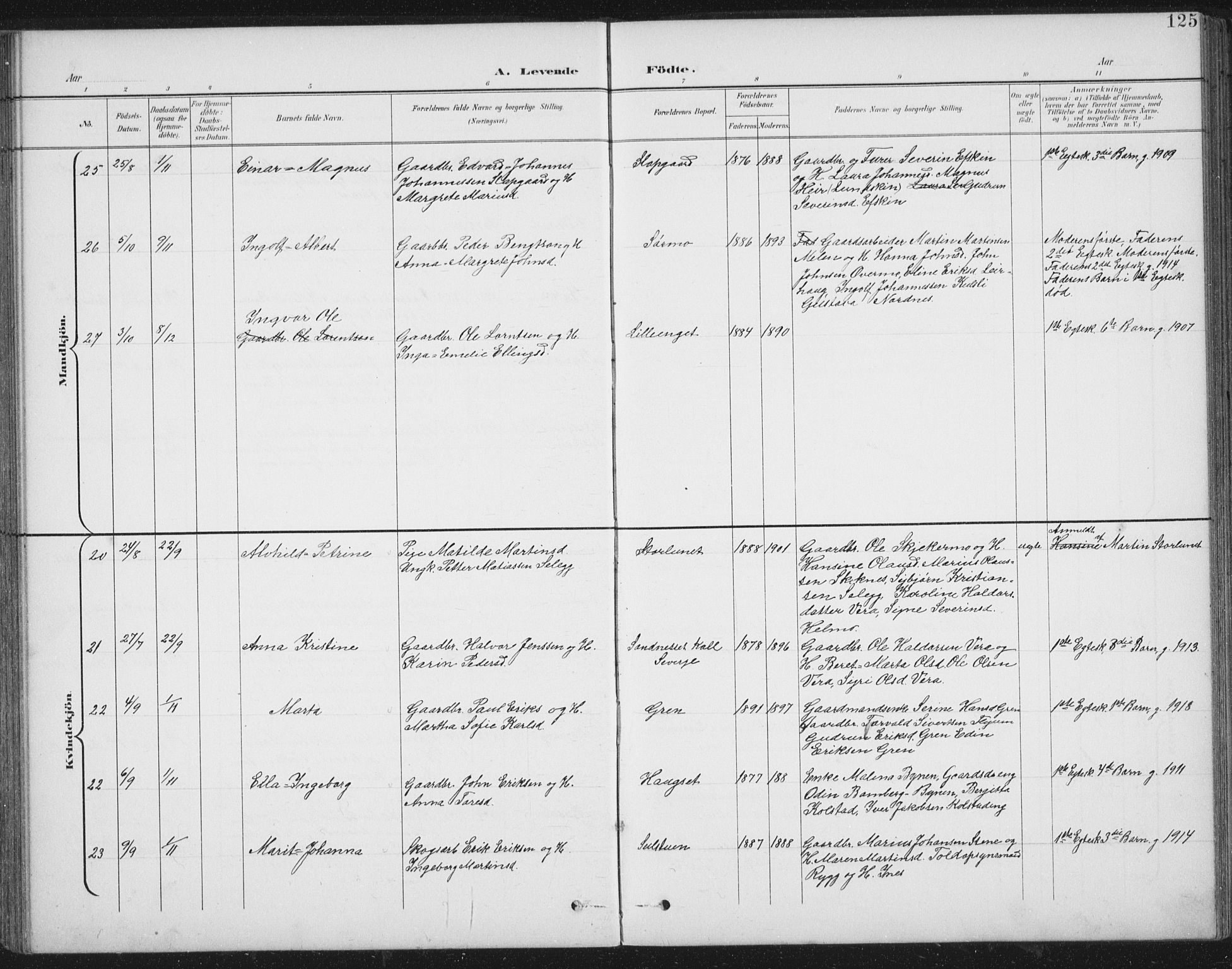 Ministerialprotokoller, klokkerbøker og fødselsregistre - Nord-Trøndelag, AV/SAT-A-1458/724/L0269: Parish register (copy) no. 724C05, 1899-1920, p. 125